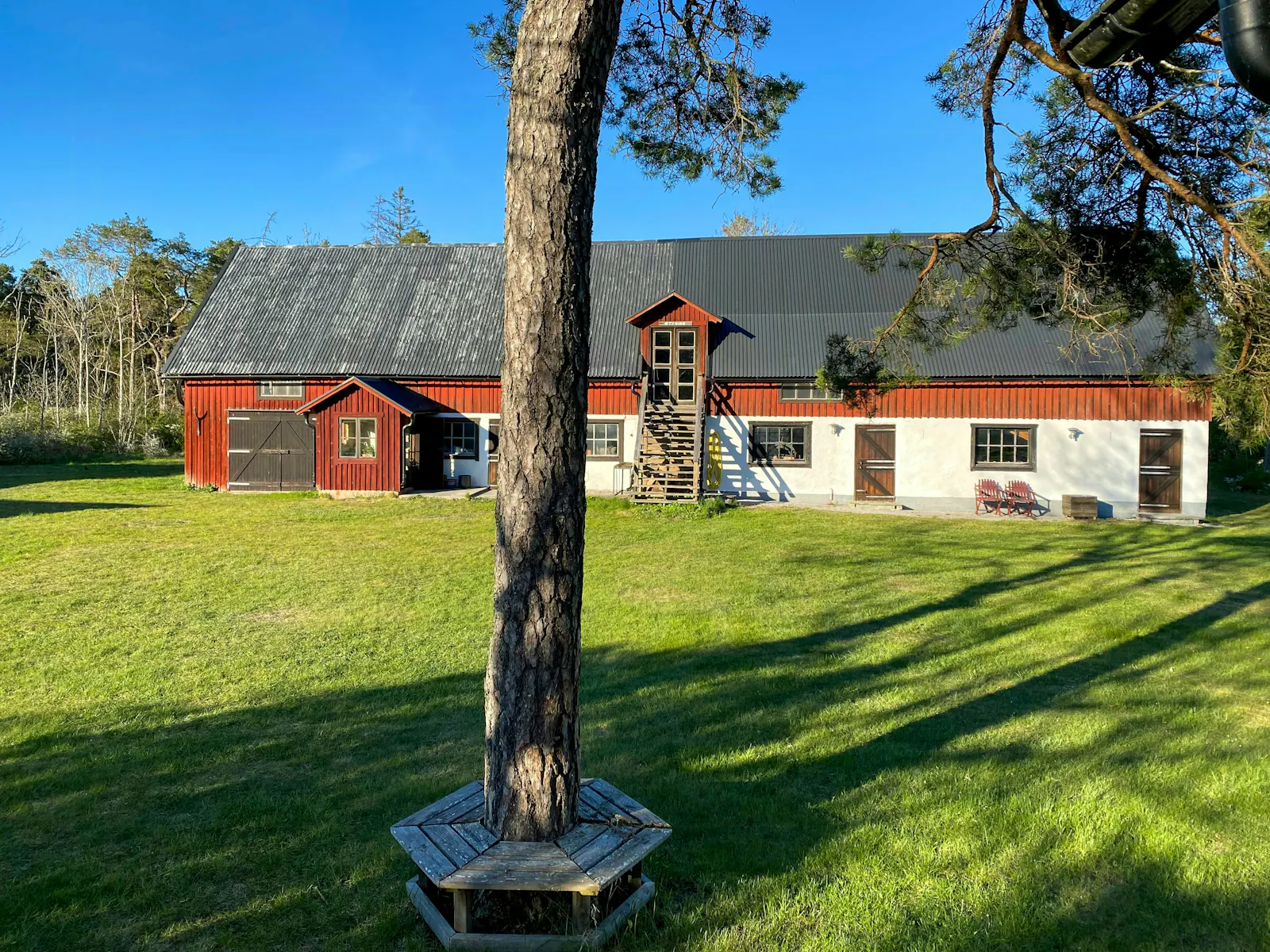 Gotländsk gård med fruktträd vid fiskehamn – bild 2 av 24
