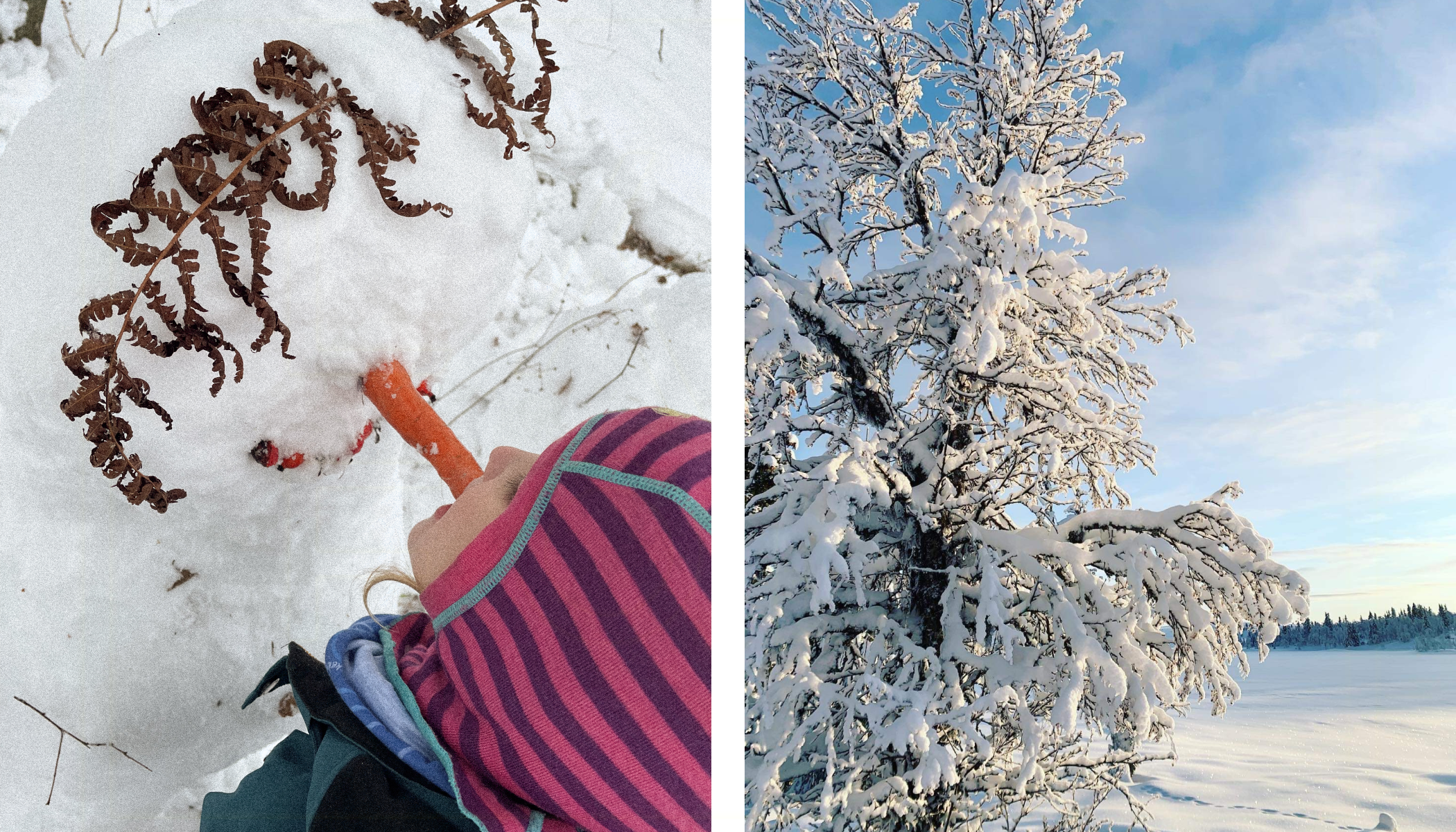 альтернативный текст