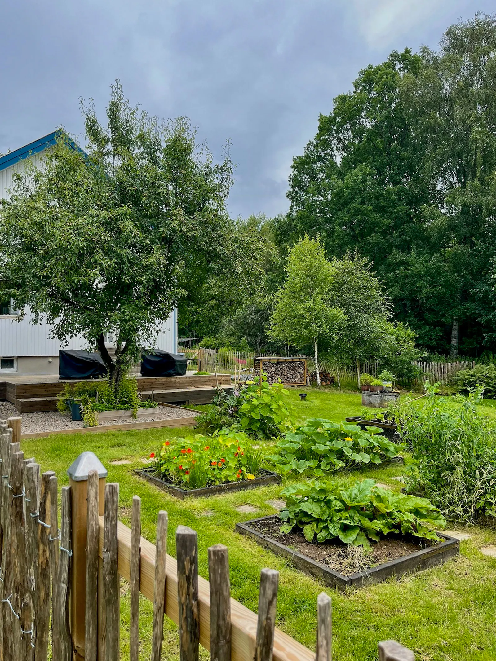 Mysigt hus omgivet av naturen – bild 14 av 17