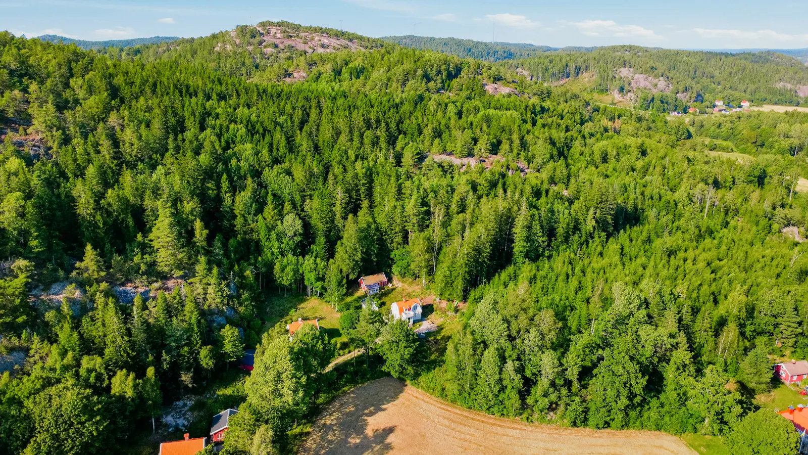 Varmt trähus med piano, rådjur och skogsstigar – bild 2 av 24