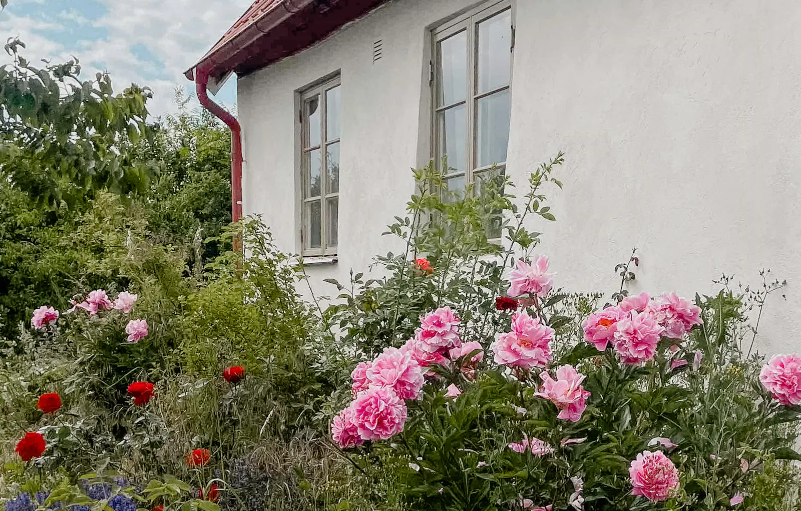 Charmig lantlig stuga på Österlen – bild 13 av 19