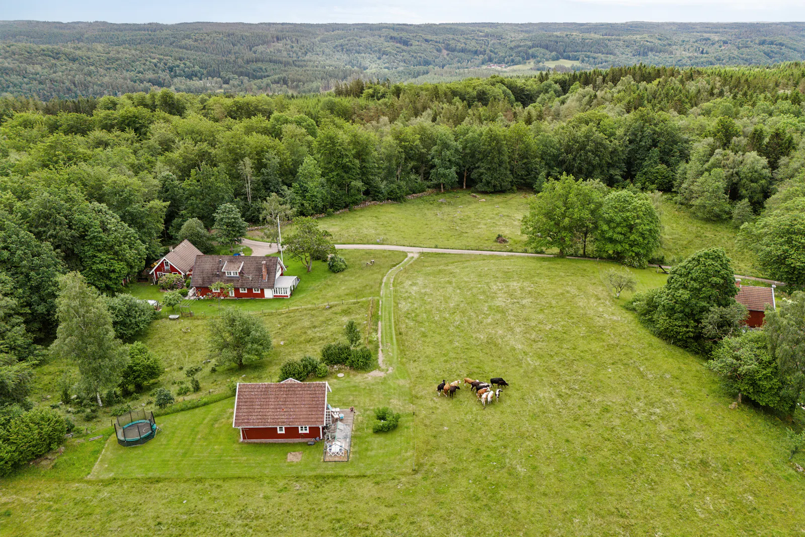 Sjönära sommarstuga med natur i Halland – bild 2 av 24