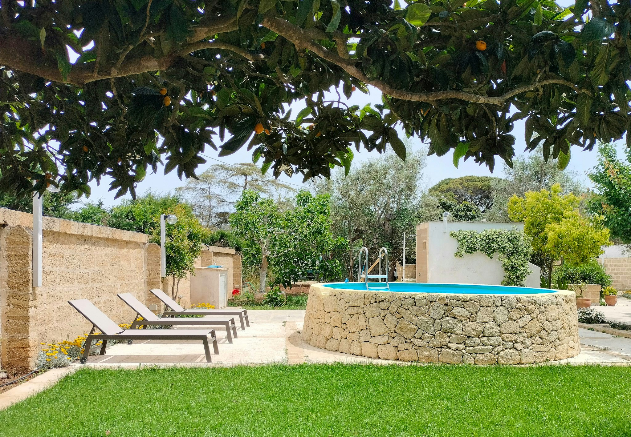 Parabita cover image