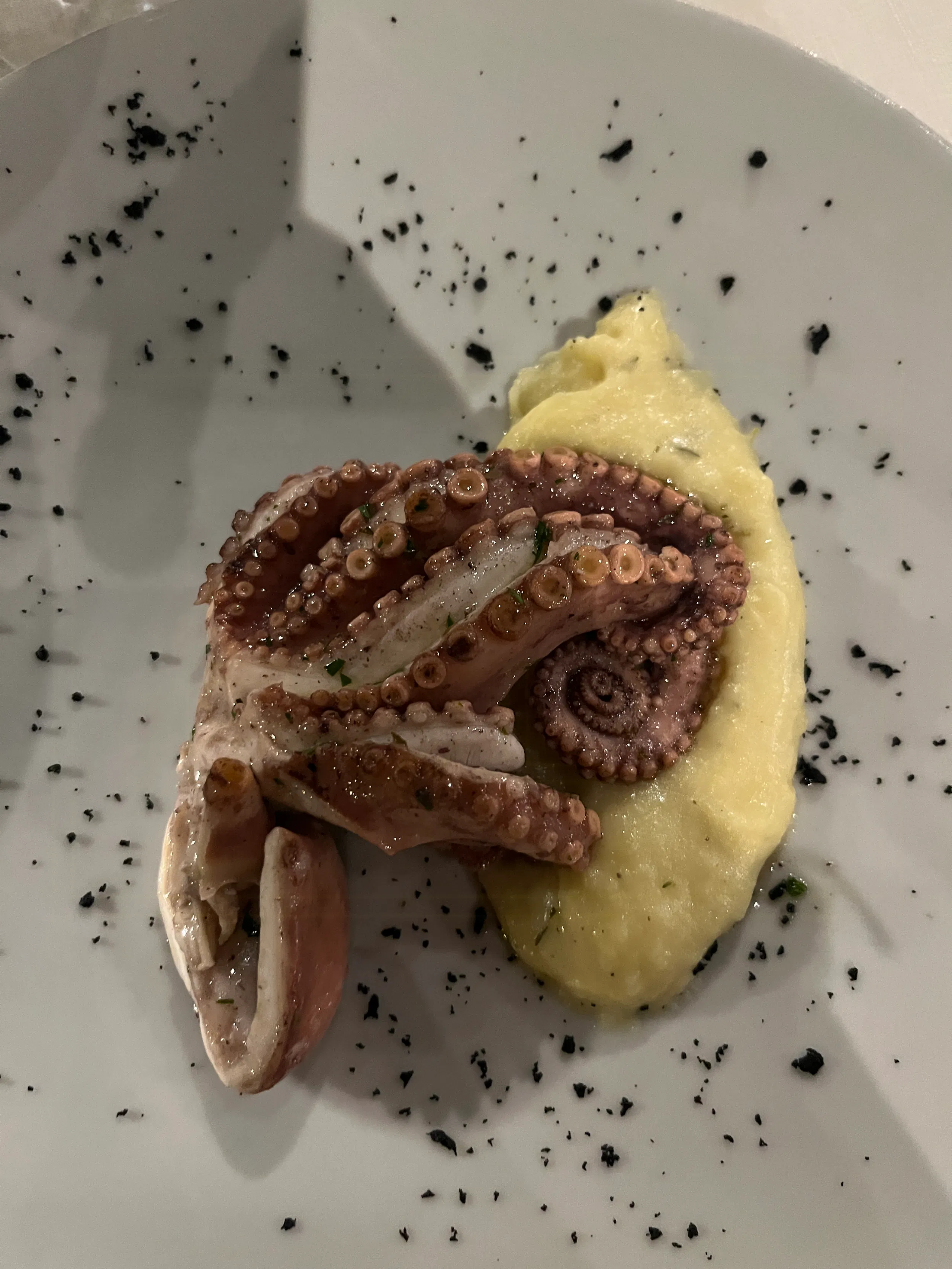 Grilled octopus on a white plate with a yellow purée and scattered black crumbs