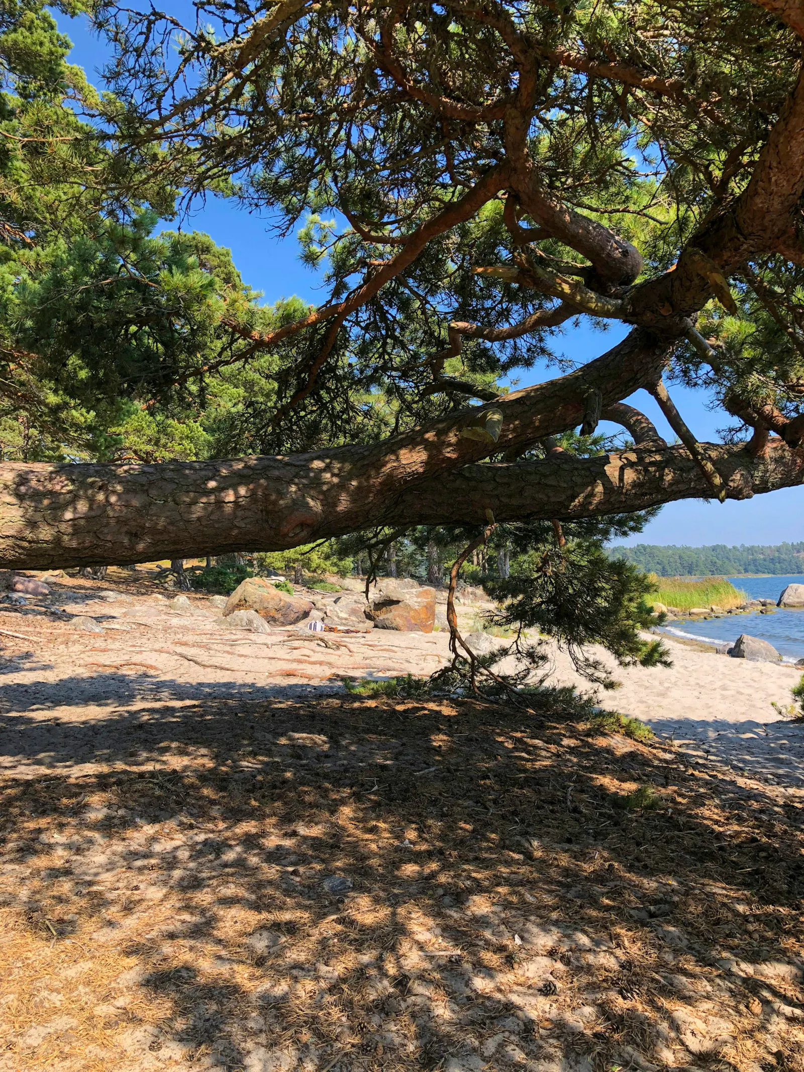 Trähus med tre uteplatser på Torö – bild 4 av 21