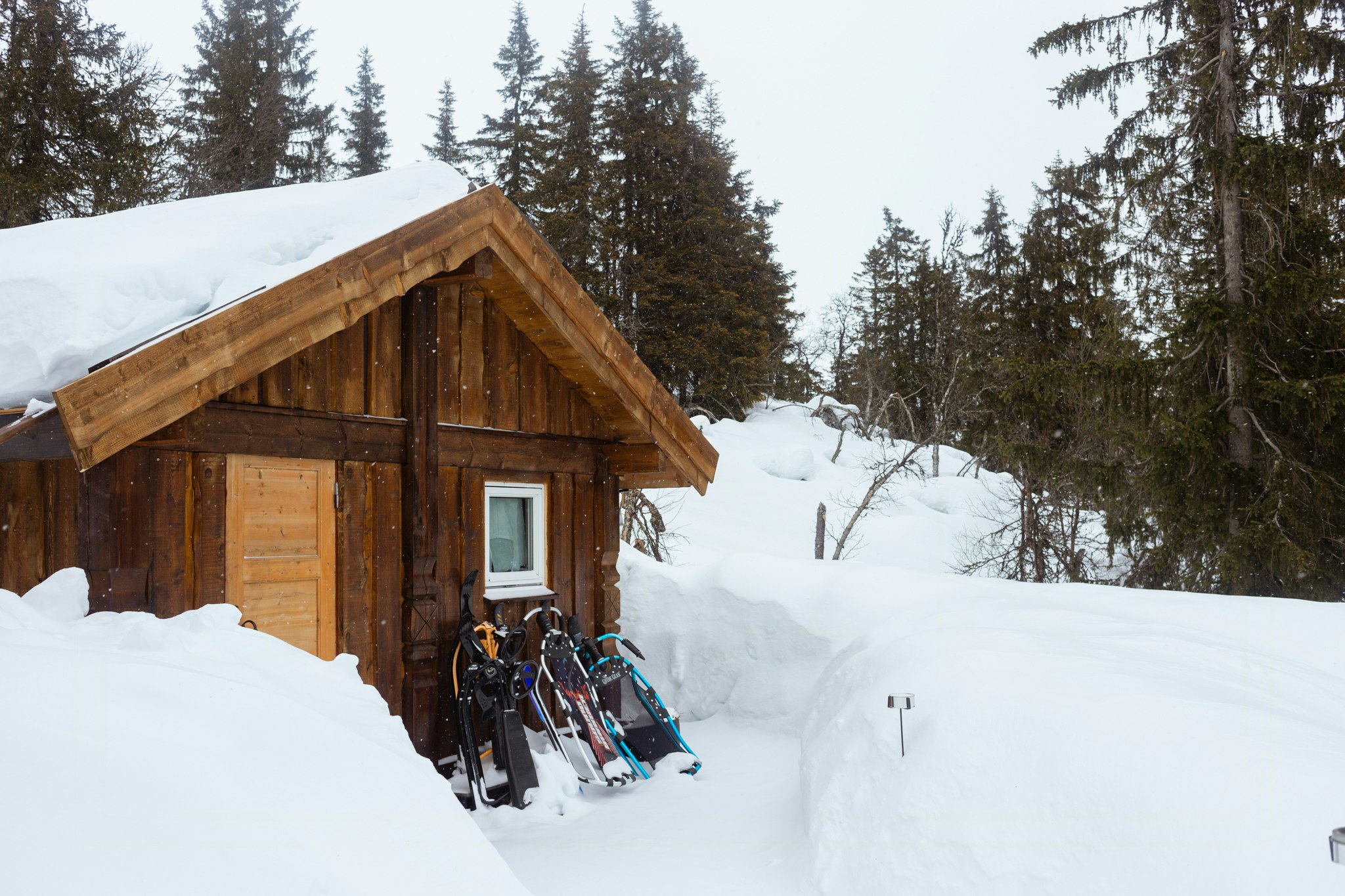 Ski in/out cover image