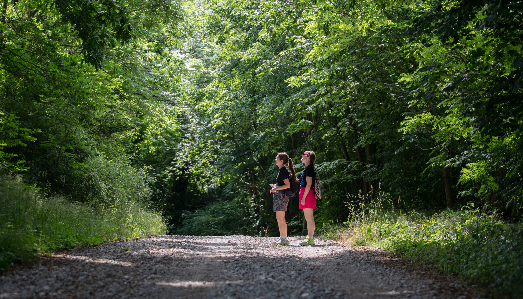 Sculpture Park in Görzhausen