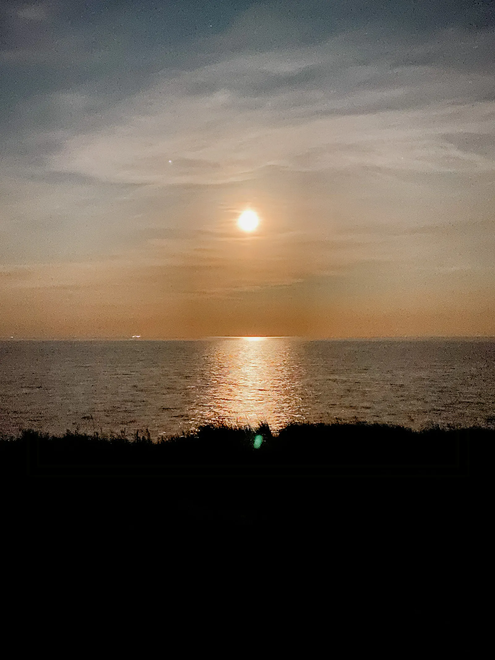 Gästhus vid park och strand i Falsterbo – bild 22 av 22