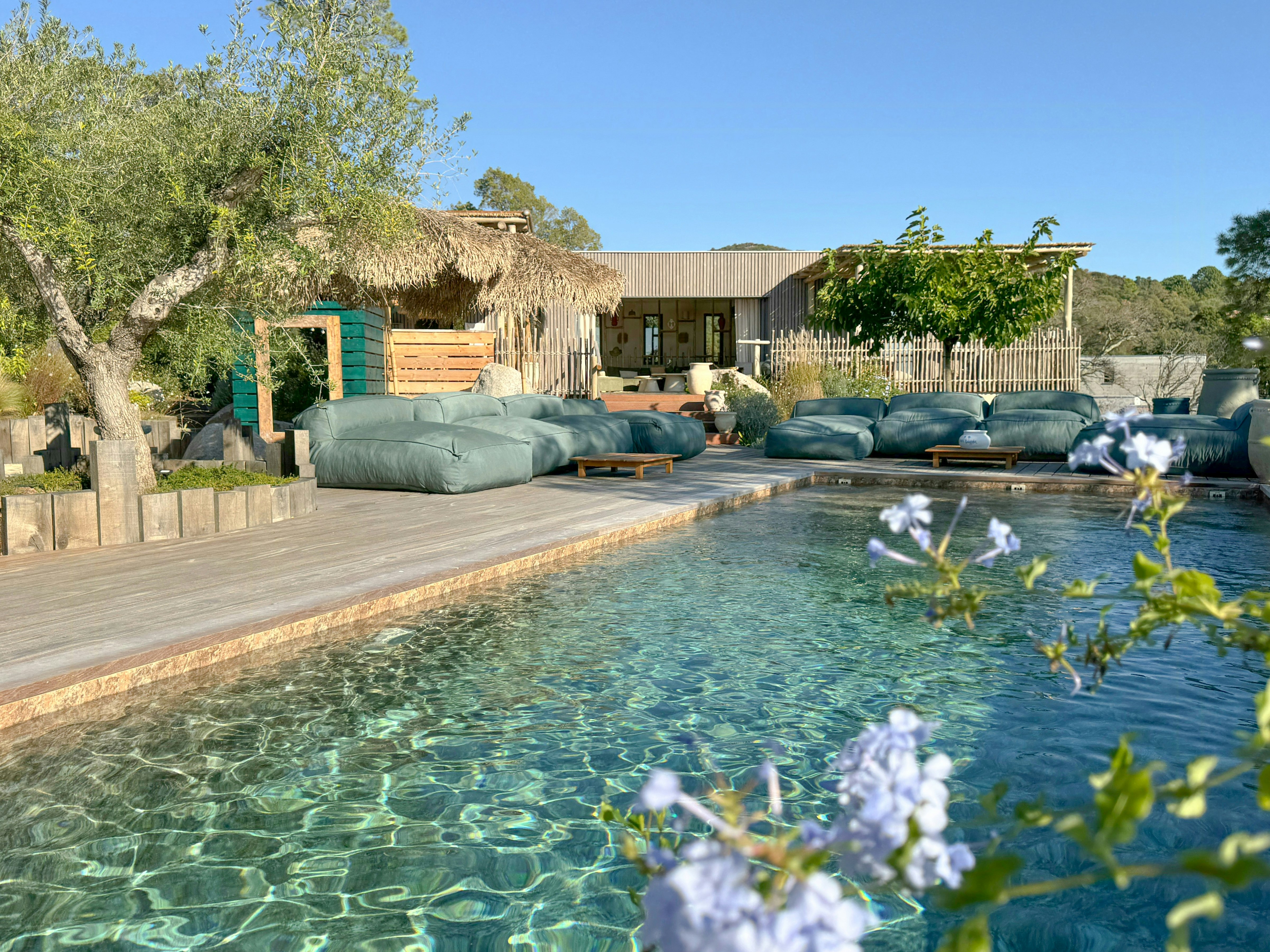 Holiday homes in Southern Corsica with pets welcome cover image