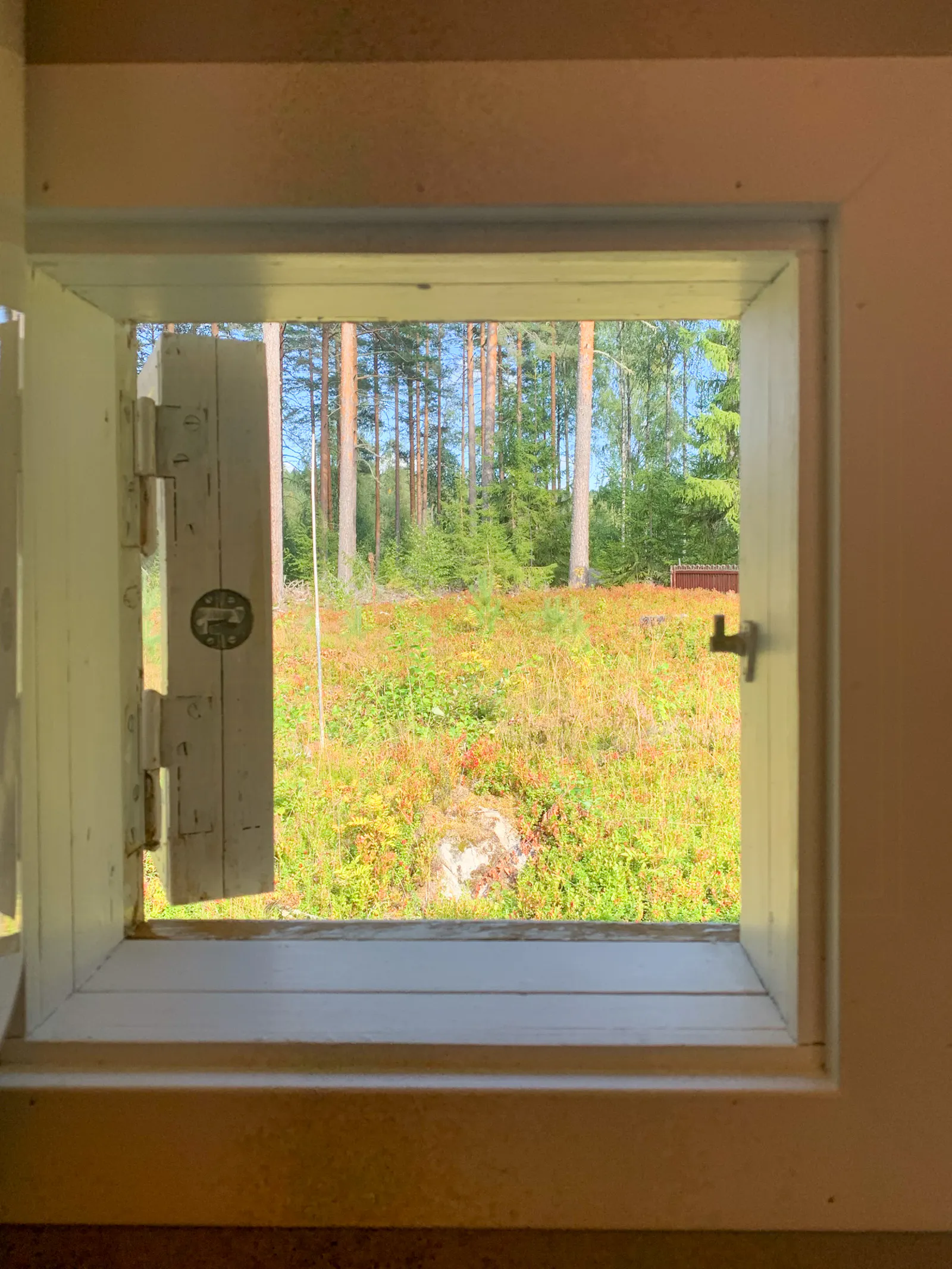 Mysig skogsstuga nära Bollnäs – bild 11 av 13