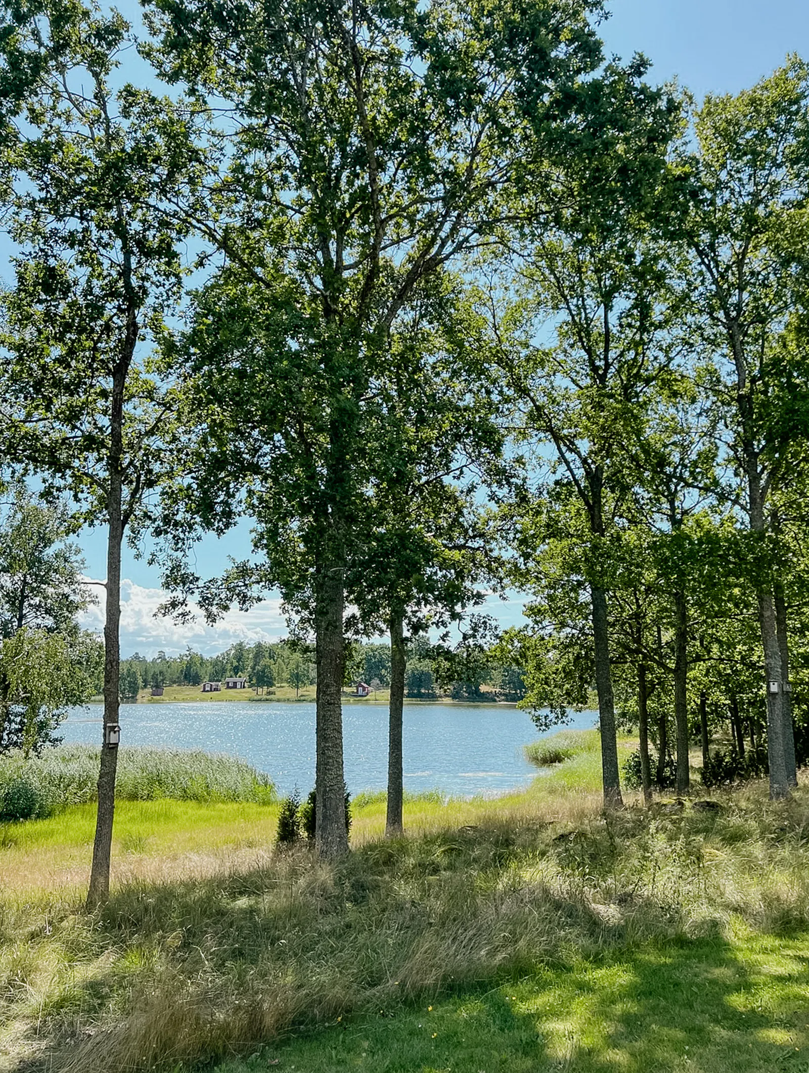 Hus vid Kalmarsund med utsikt mot Öland – bild 2 av 24
