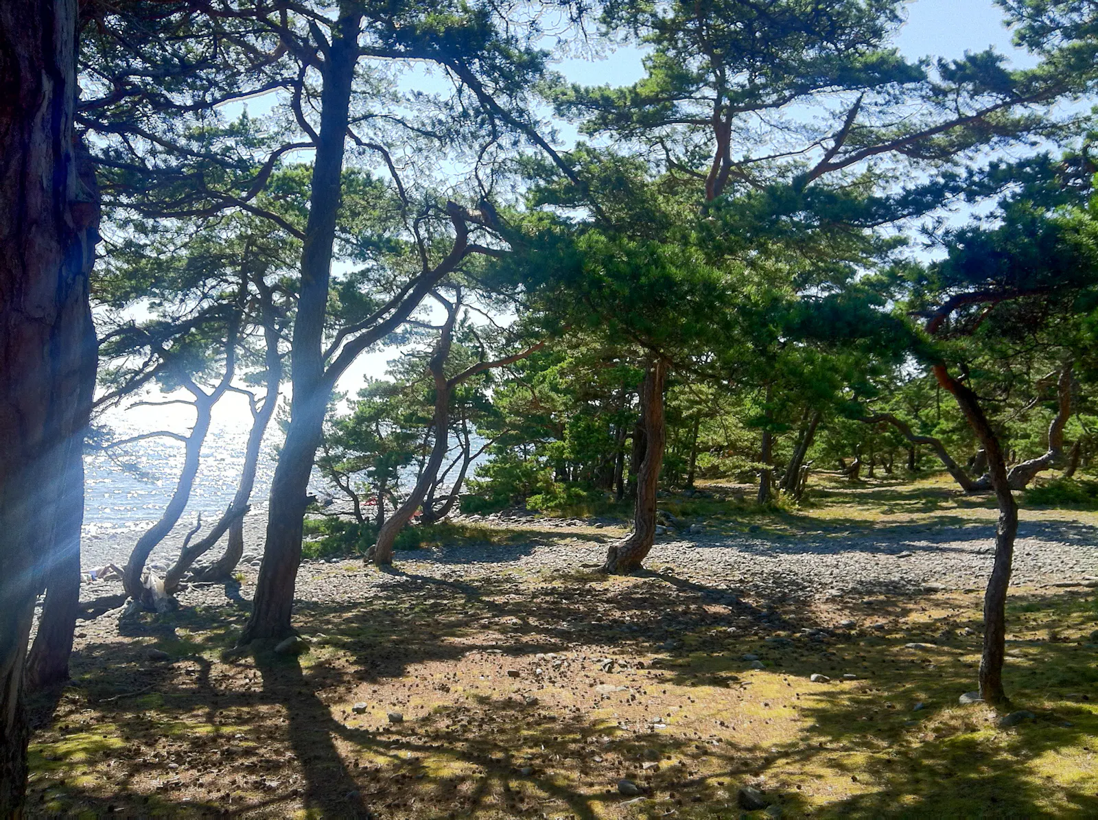 Trähus med tre uteplatser på Torö – bild 17 av 21