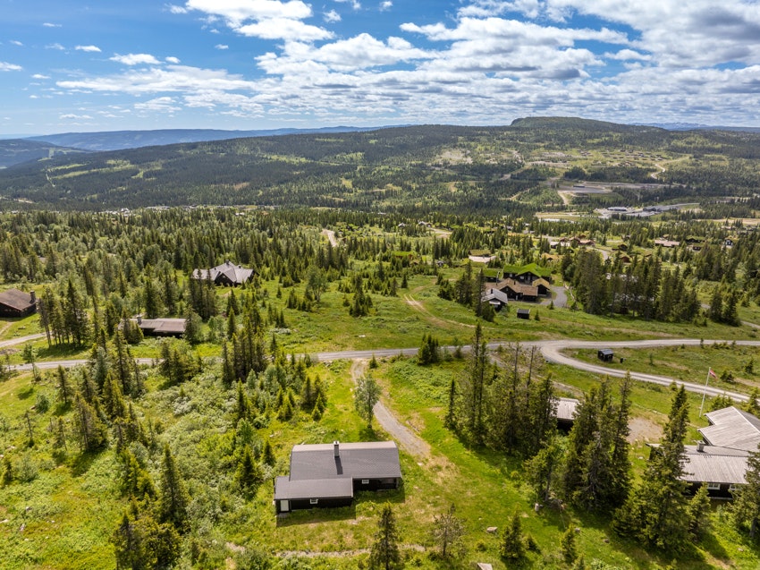 Skeikampen cover image