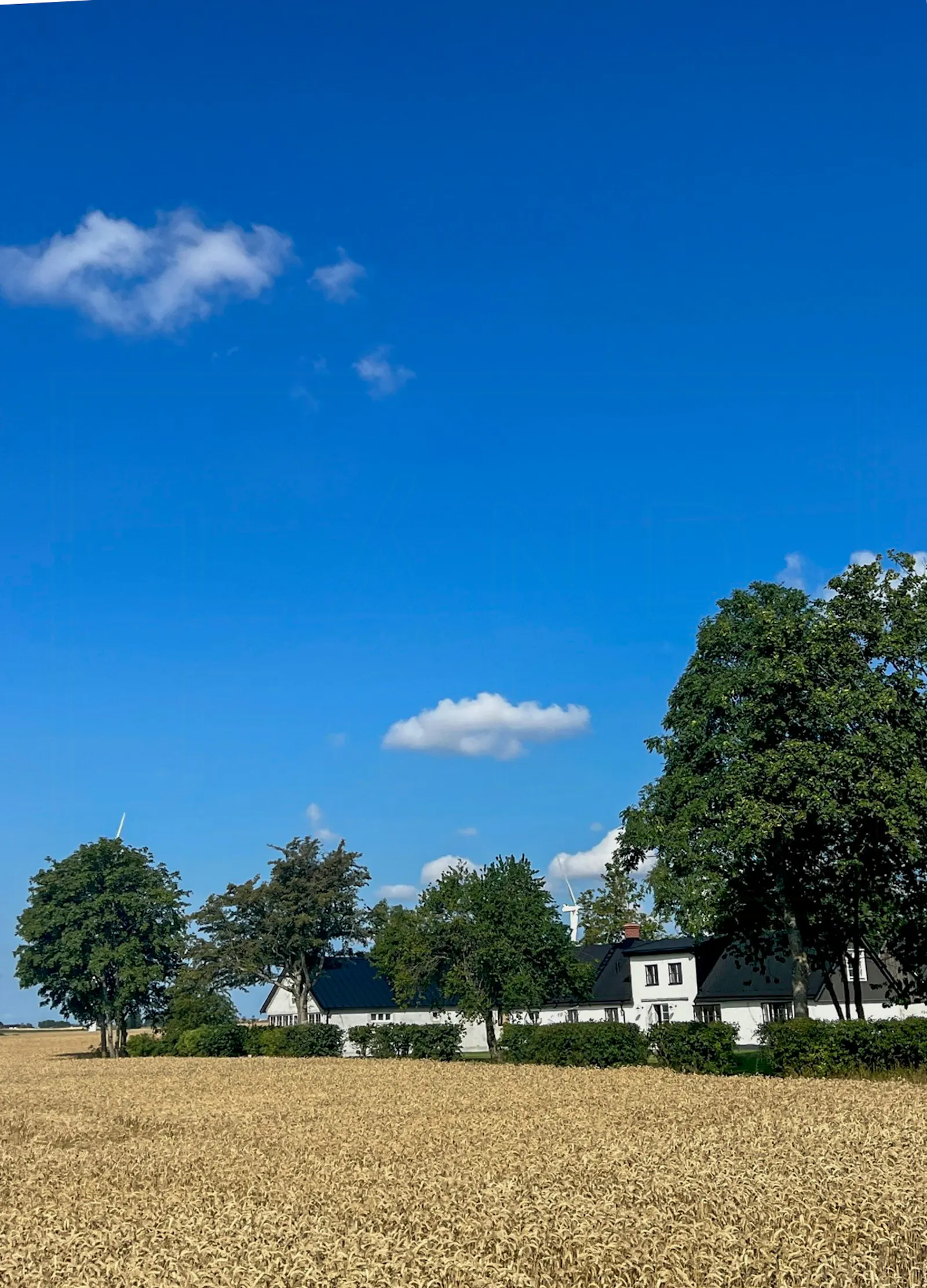 Fyrlängad gård i hjärtat av Österlen – bild 2 av 21