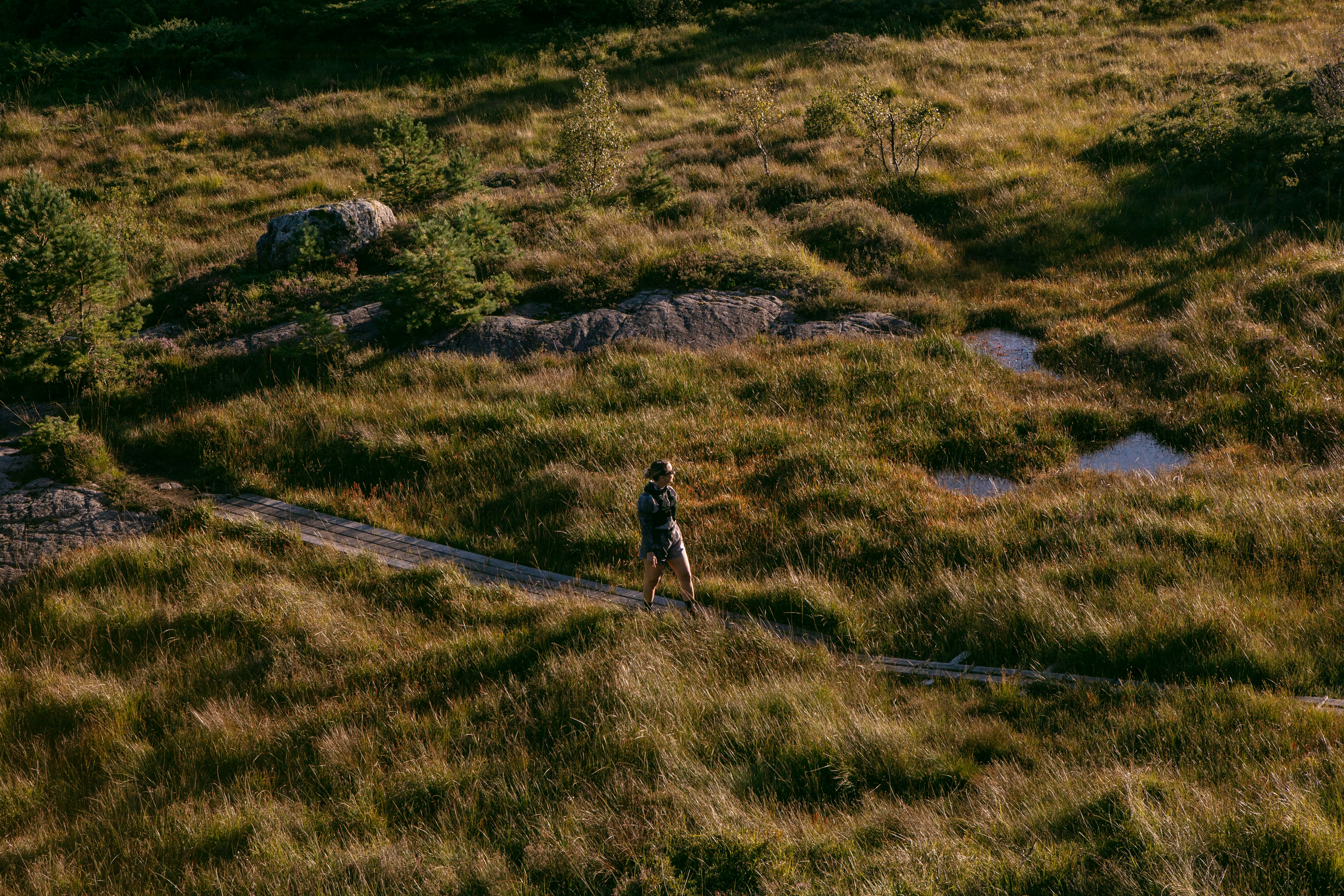Cabins close to exceptional hikes cover image