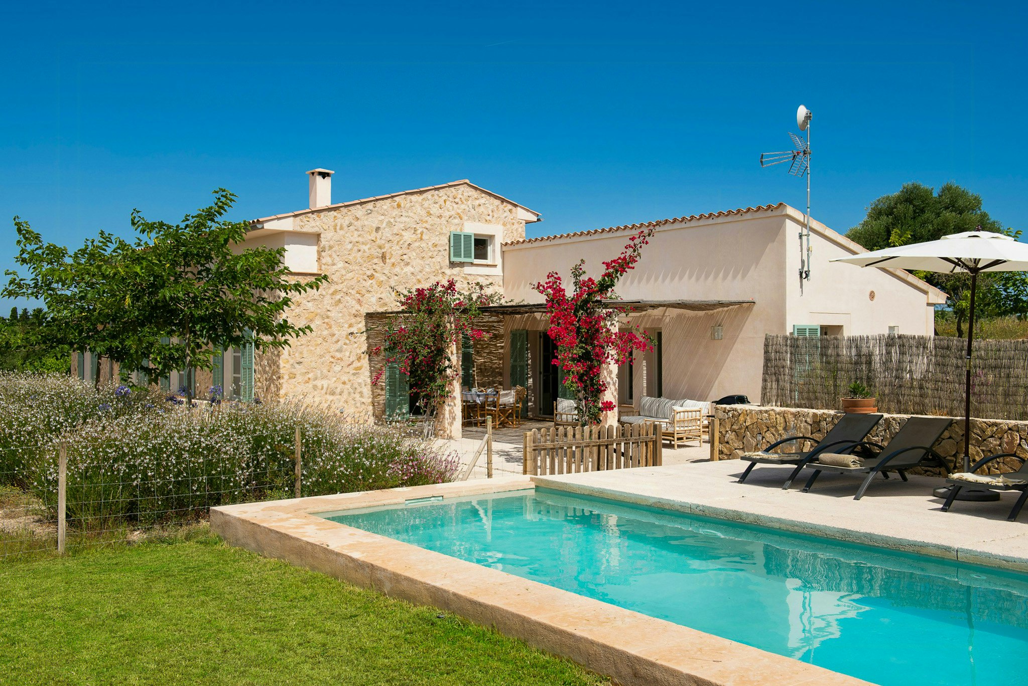 Pla de Mallorca cover image