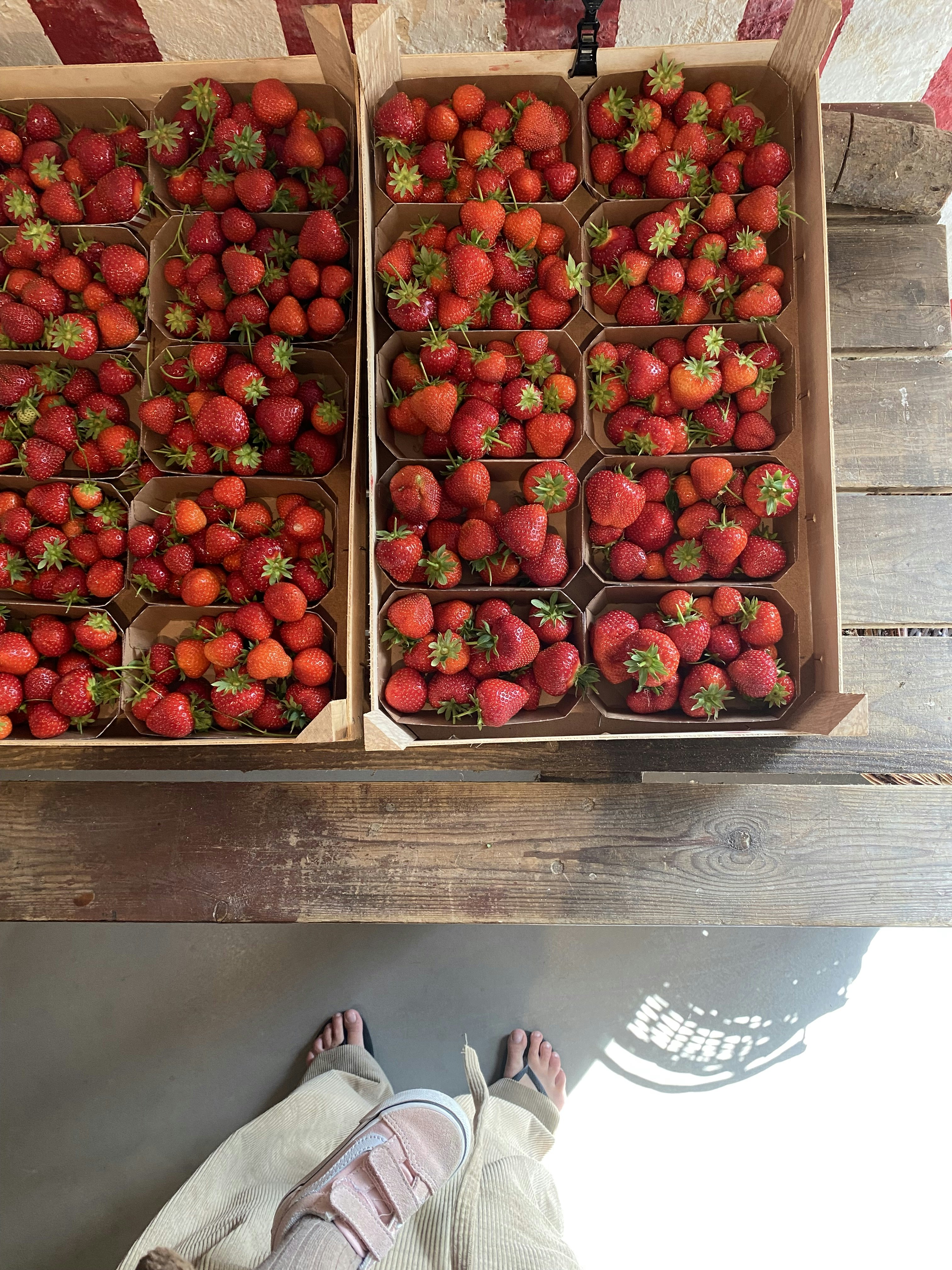 Andrea Theodoras familiesommerferie i Nordsjælland: "Det første vi kigger efter, er hvor vi skal bo og den gode madoplevelse"