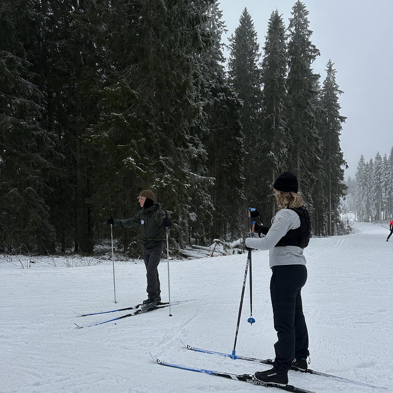 [object Object] cover image