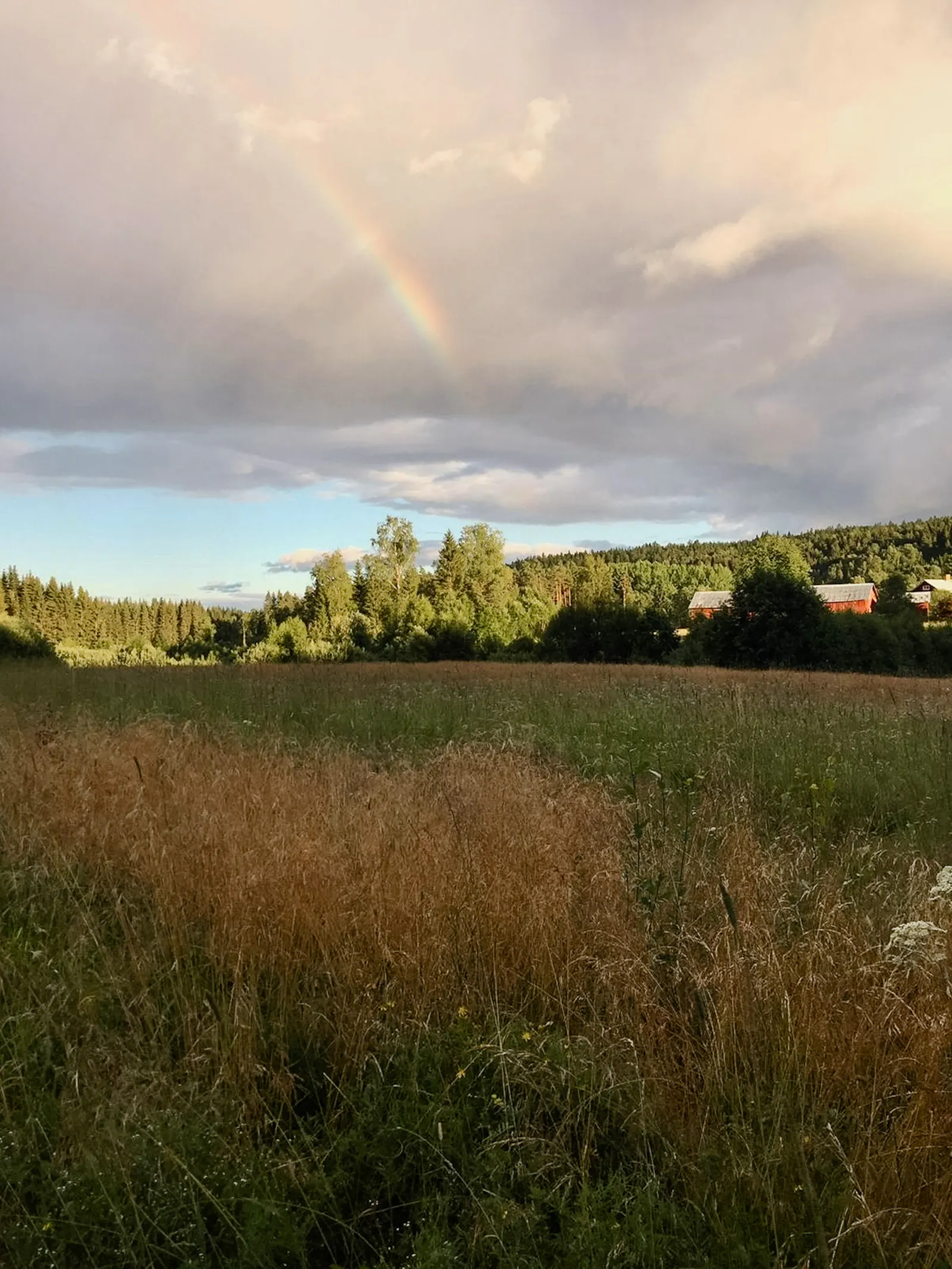 Tidlöst boende med naturen som granne – bild 11 av 11