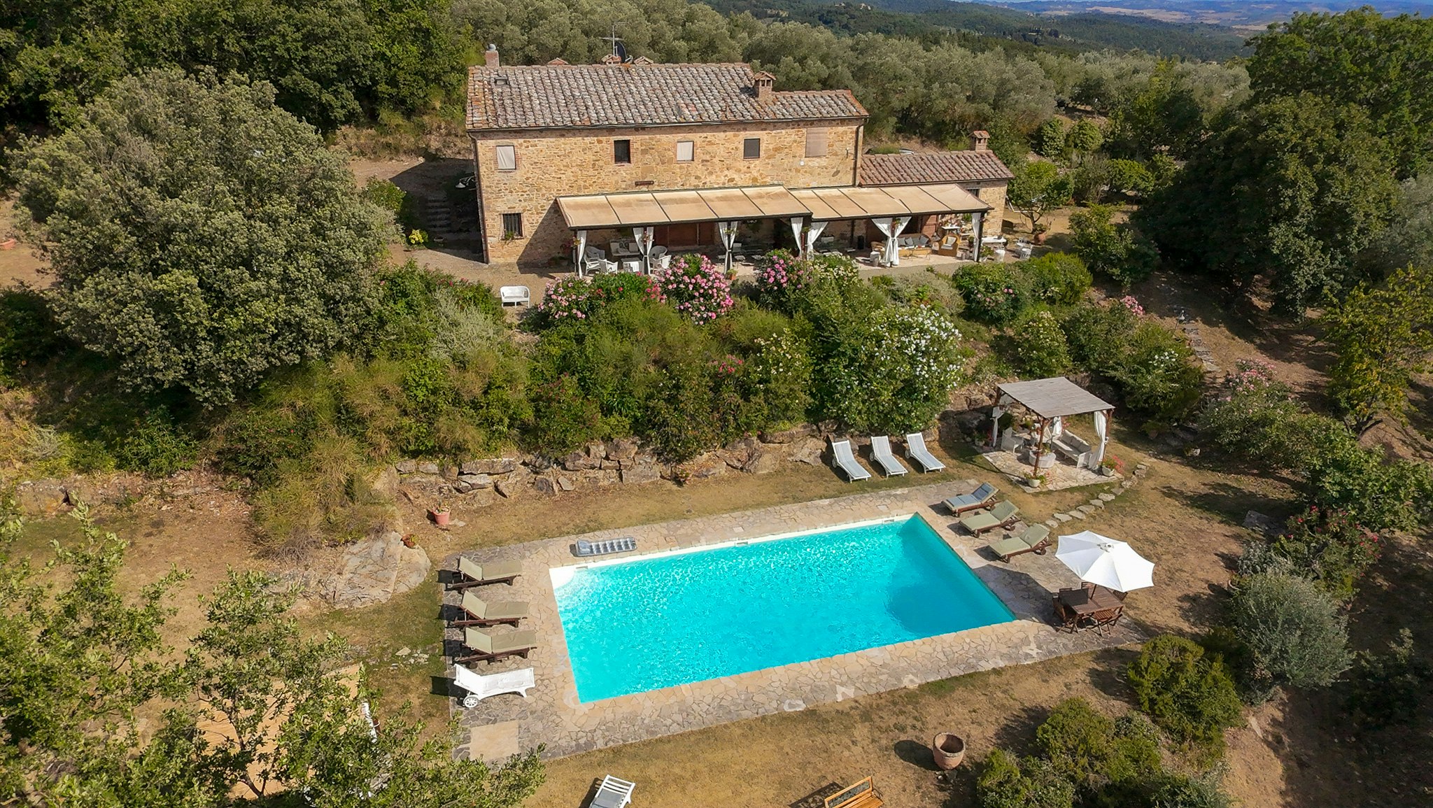 Castellina in Chianti cover image