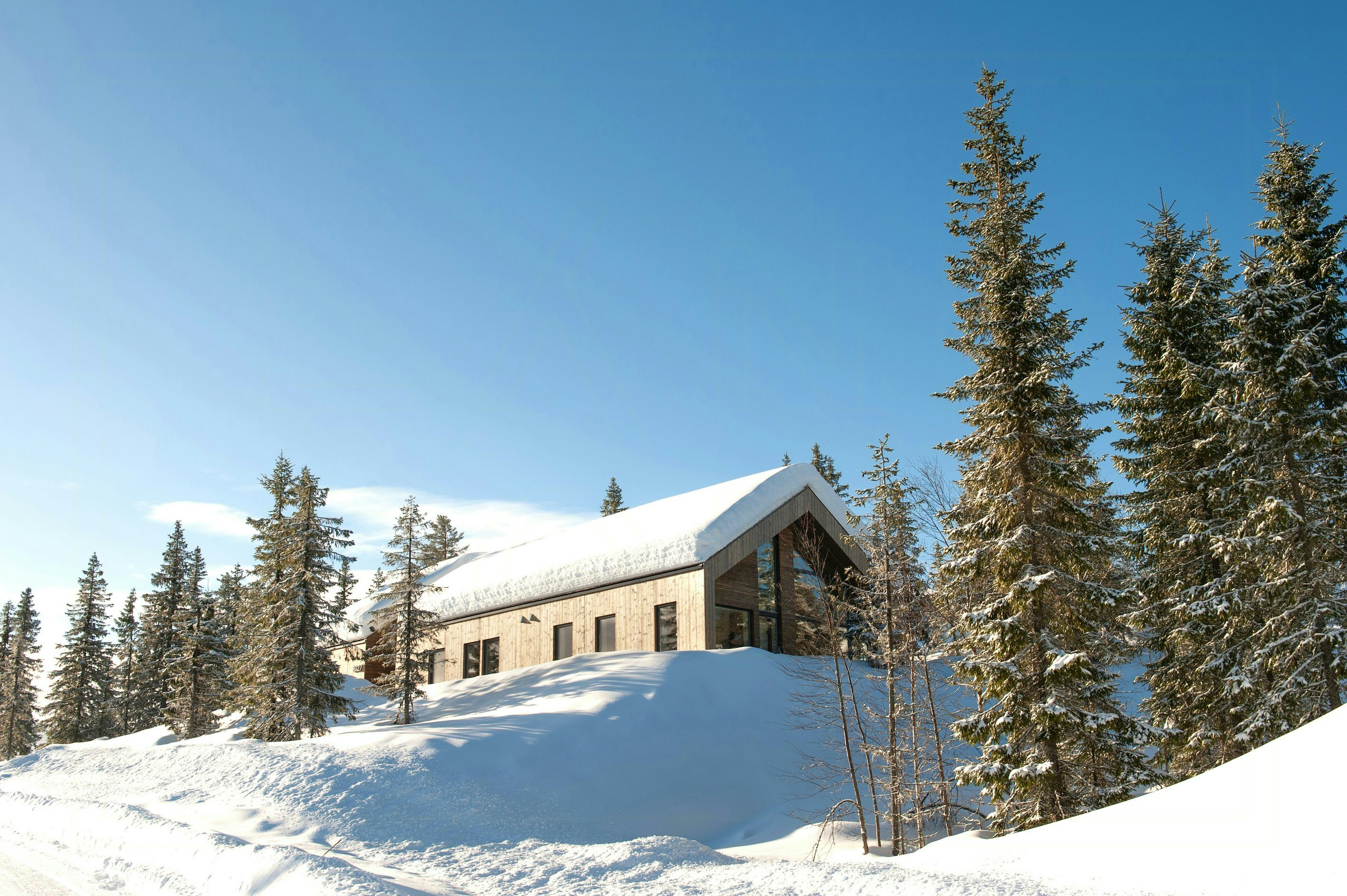 Trysil cover image
