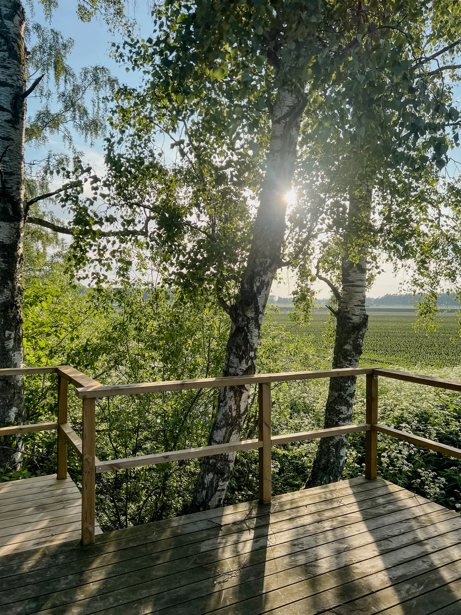 Lantlig A-husidyll på Öland med underbar utsikt – bild 20 av 24