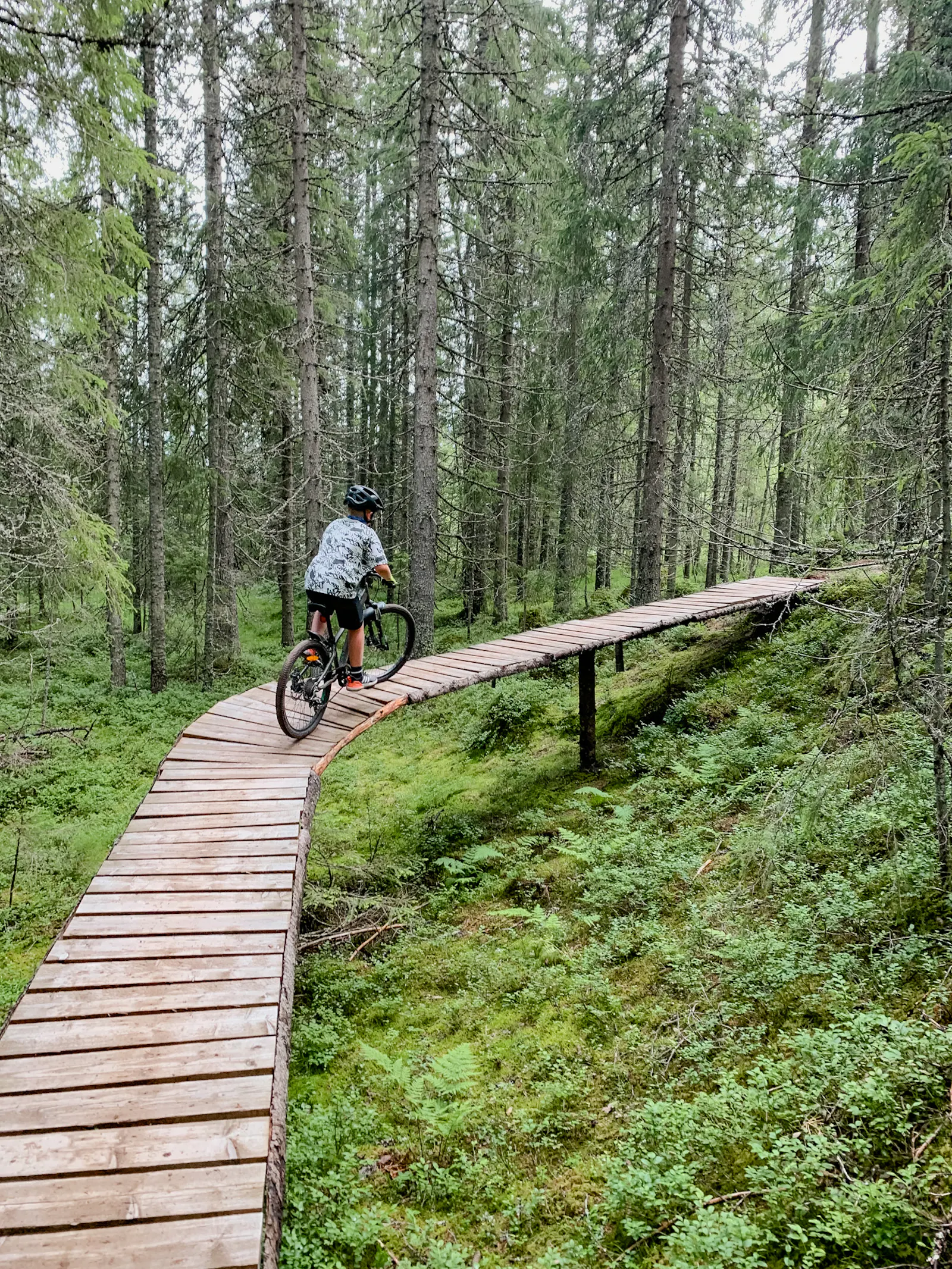Bergsstuga med panoramautsikt för aktiv semester – bild 17 av 20