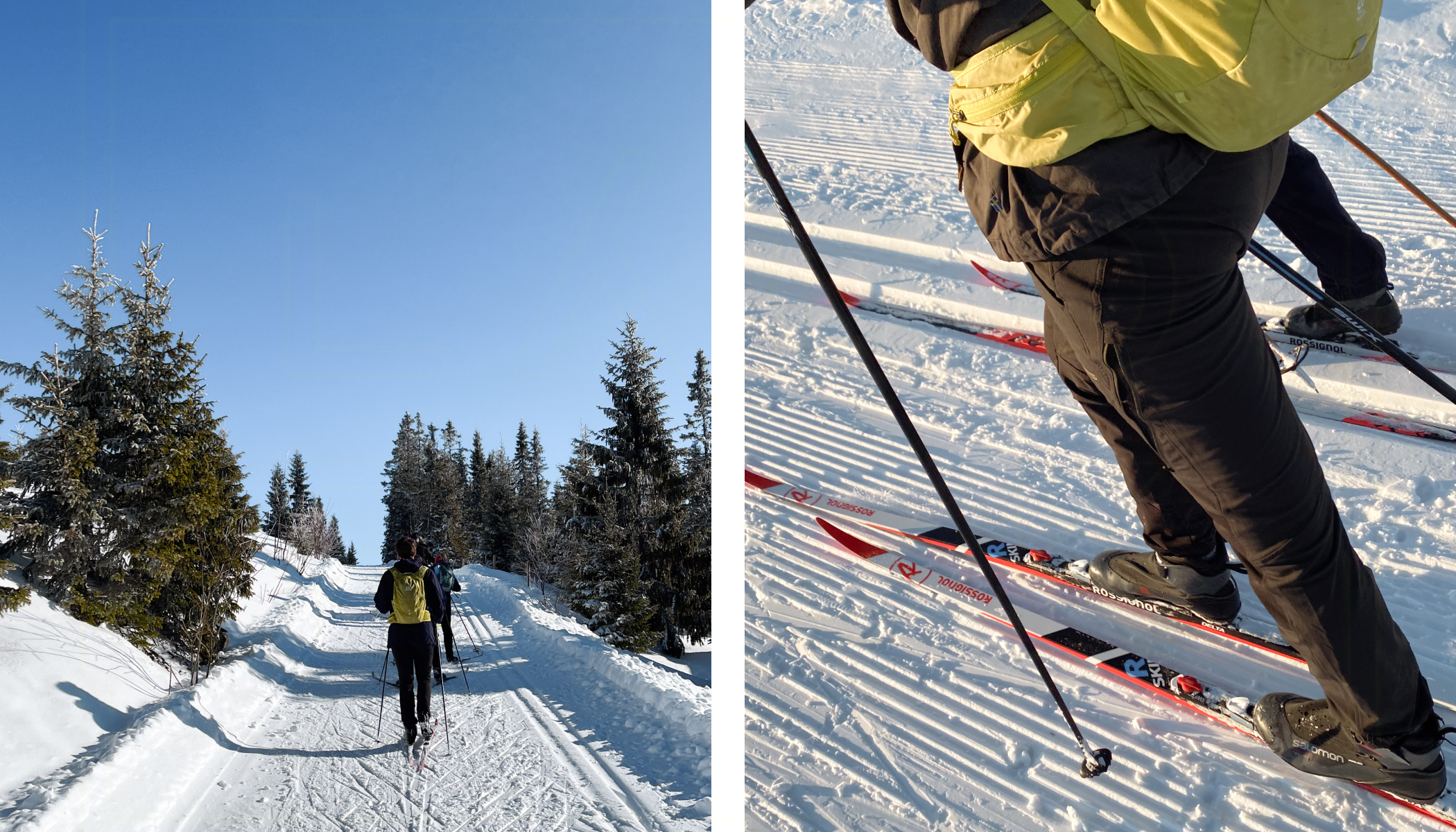 альтернативный текст