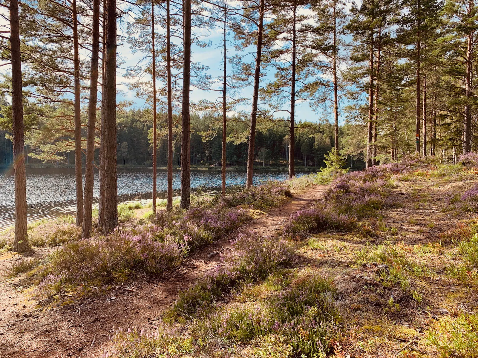 Lägenhet vid Alvasjön med bastu och vid naturreservat – bild 21 av 24