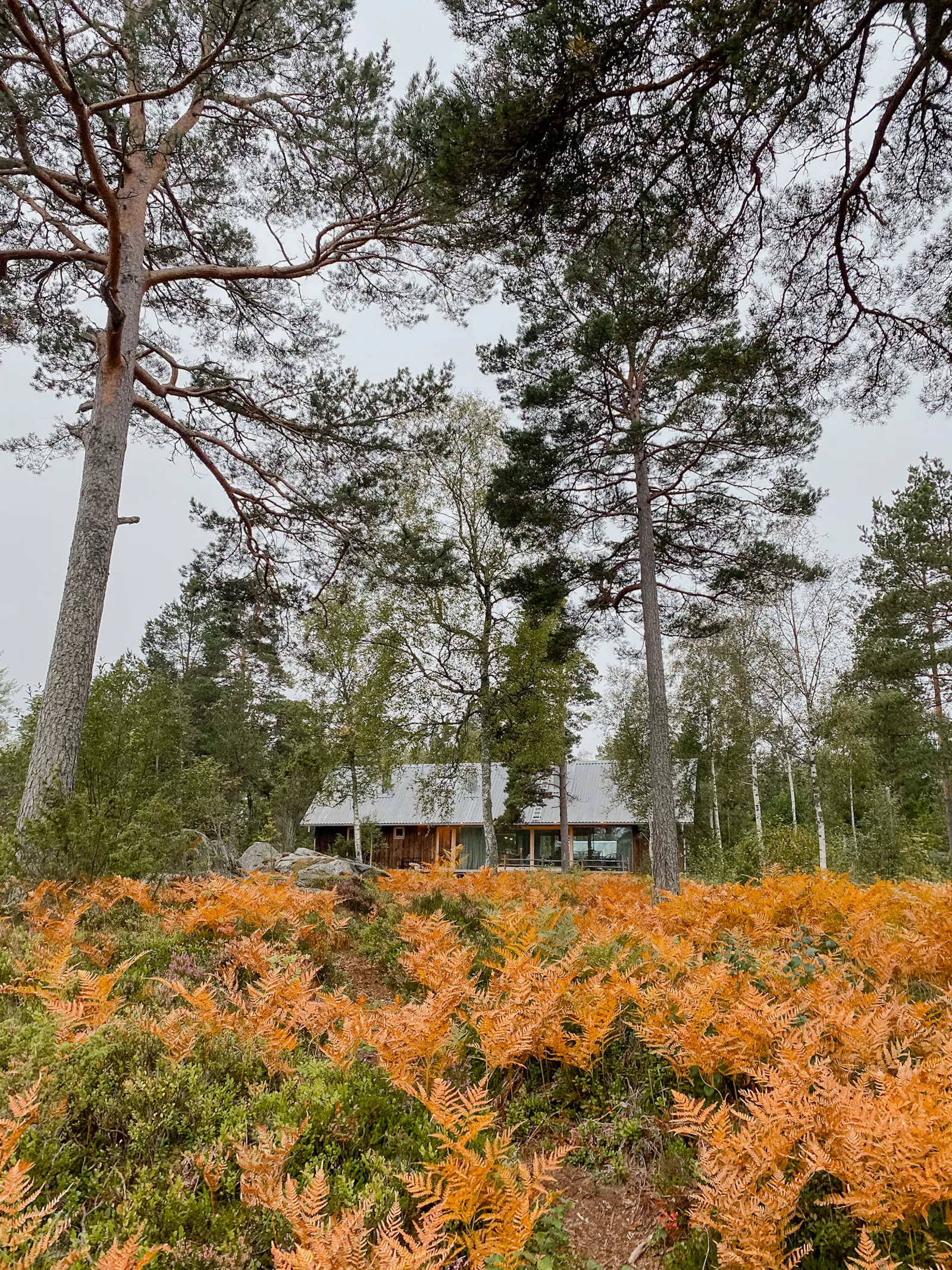 Roslagen: natur möter modern design – bild 22 av 24