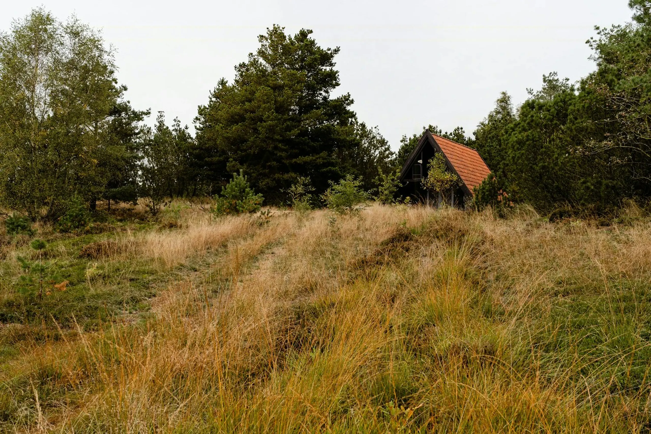 Danish summerhouse platform Landfolk raises seven-figure pre-seed financing in mission to get city dwellers out of town