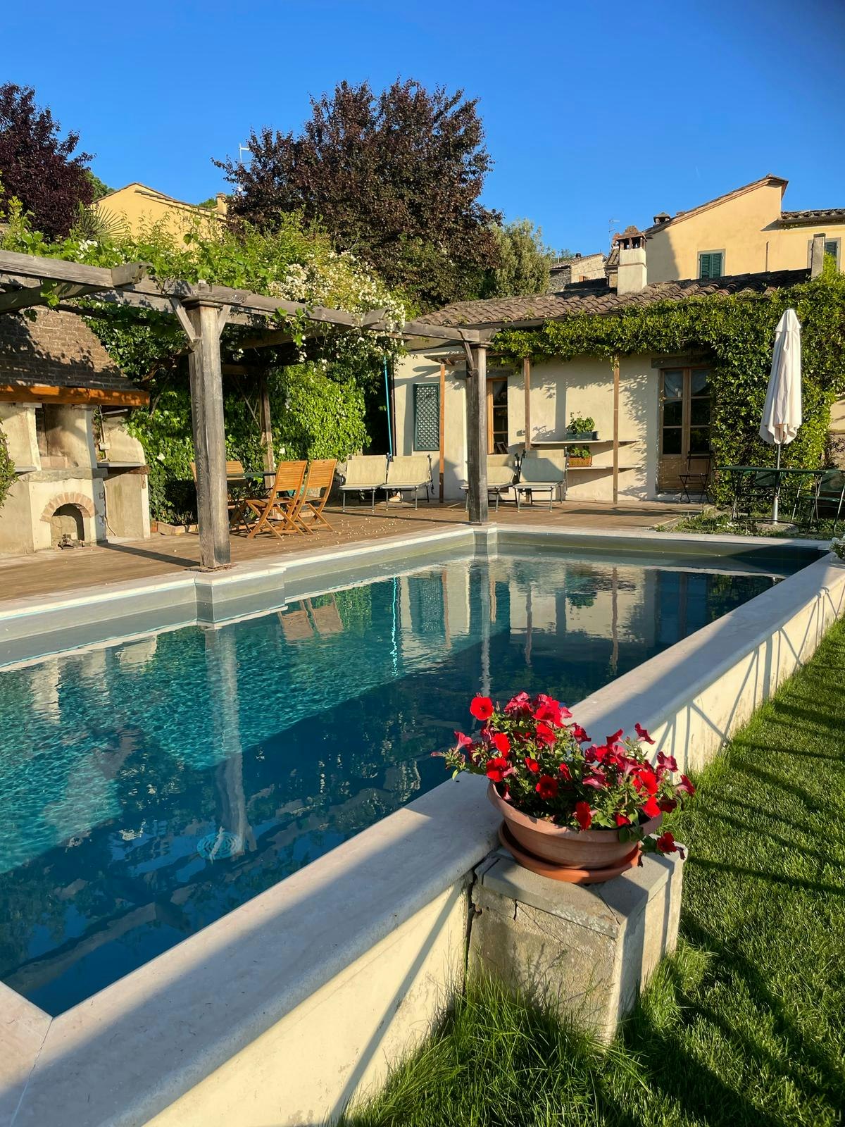 Arezzo cover image