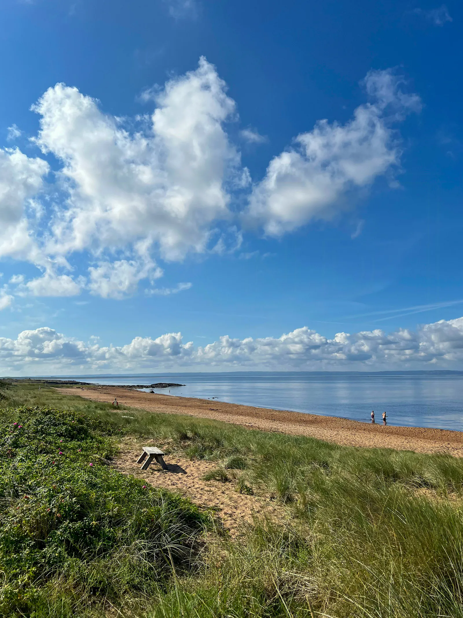 Stuga i lungt område nära havet – bild 16 av 24