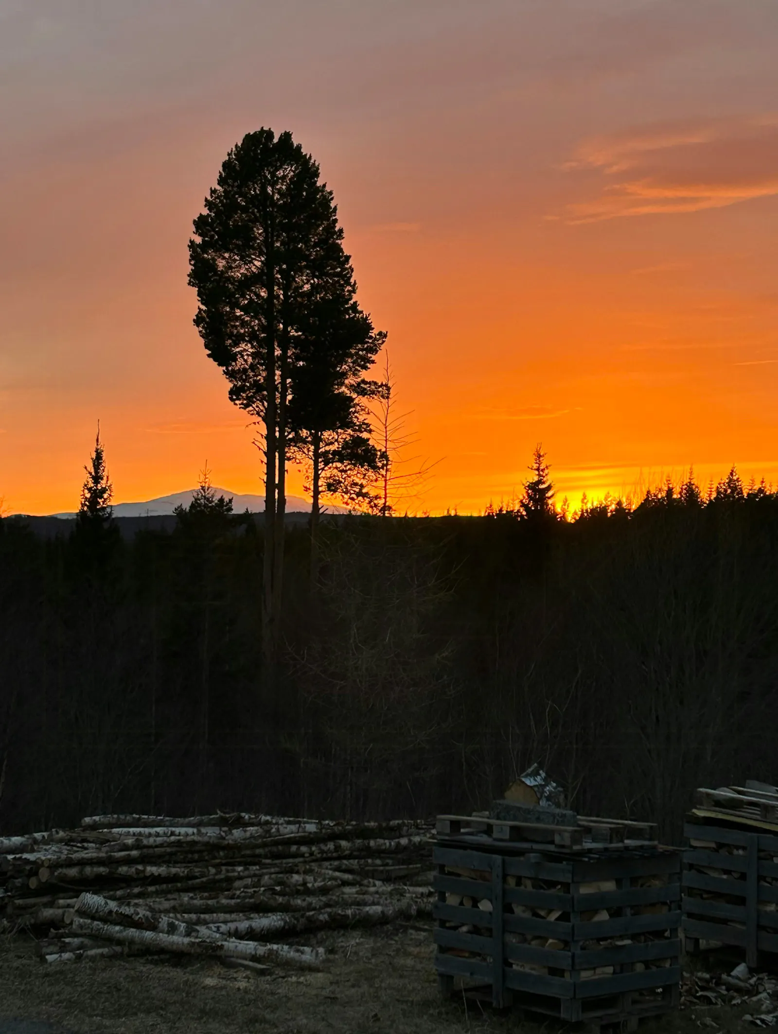 Ekohus med fjällutsikt i Högåsen nära Åre – bild 21 av 21