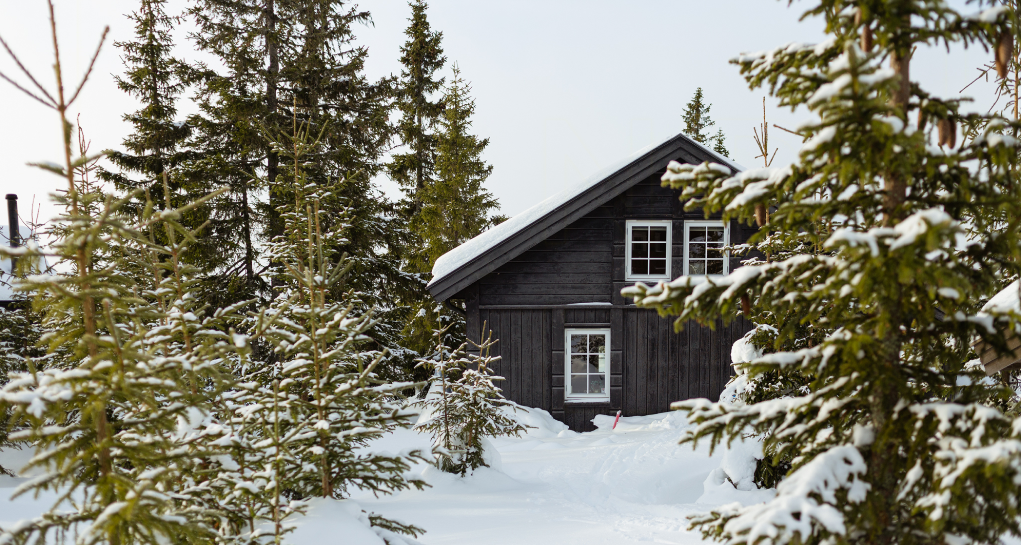 Til deg som lurer på om du skal bli vert hos Landfolk