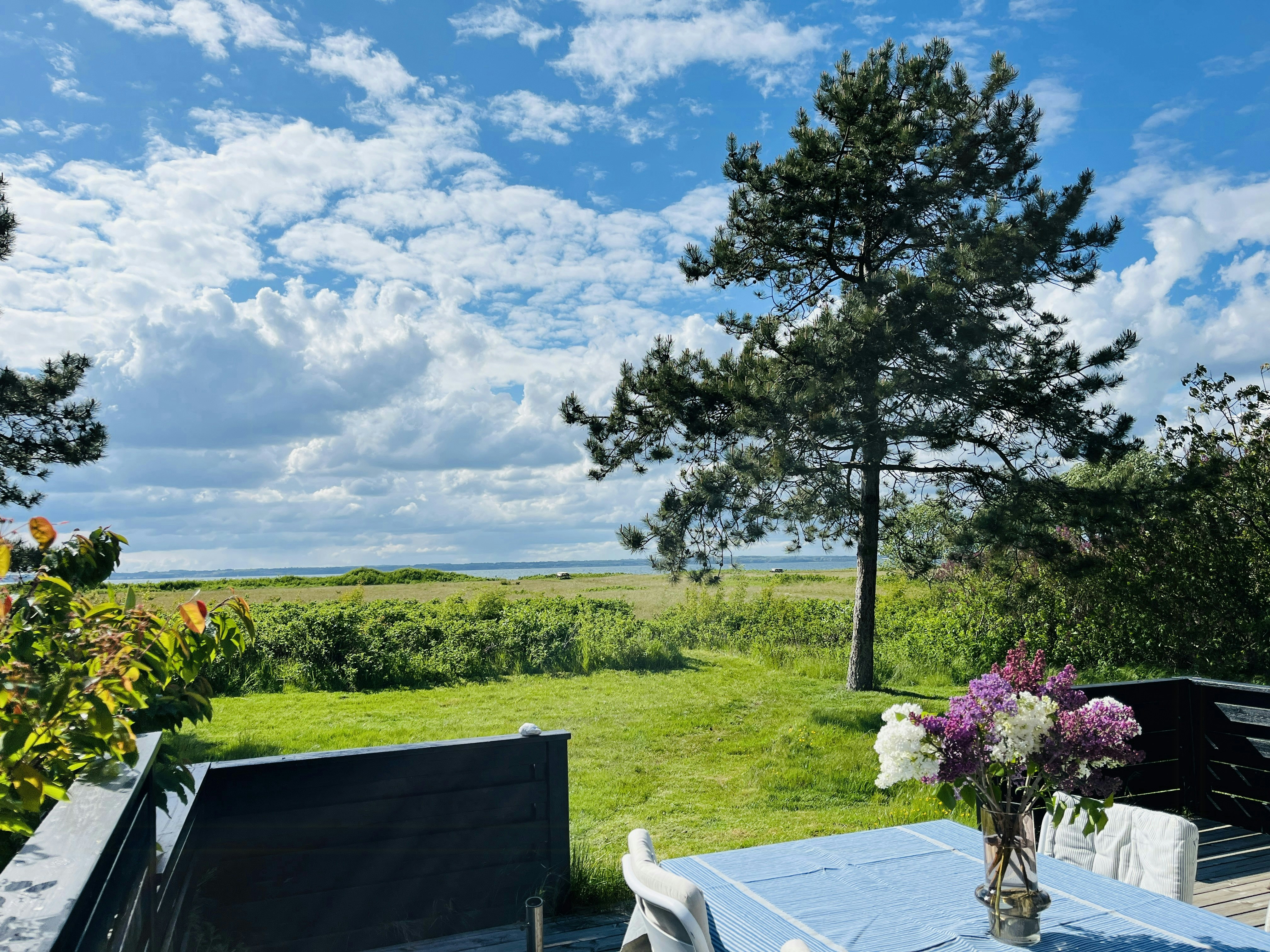 Case Vacanze con Vista Mare su Langeland cover image