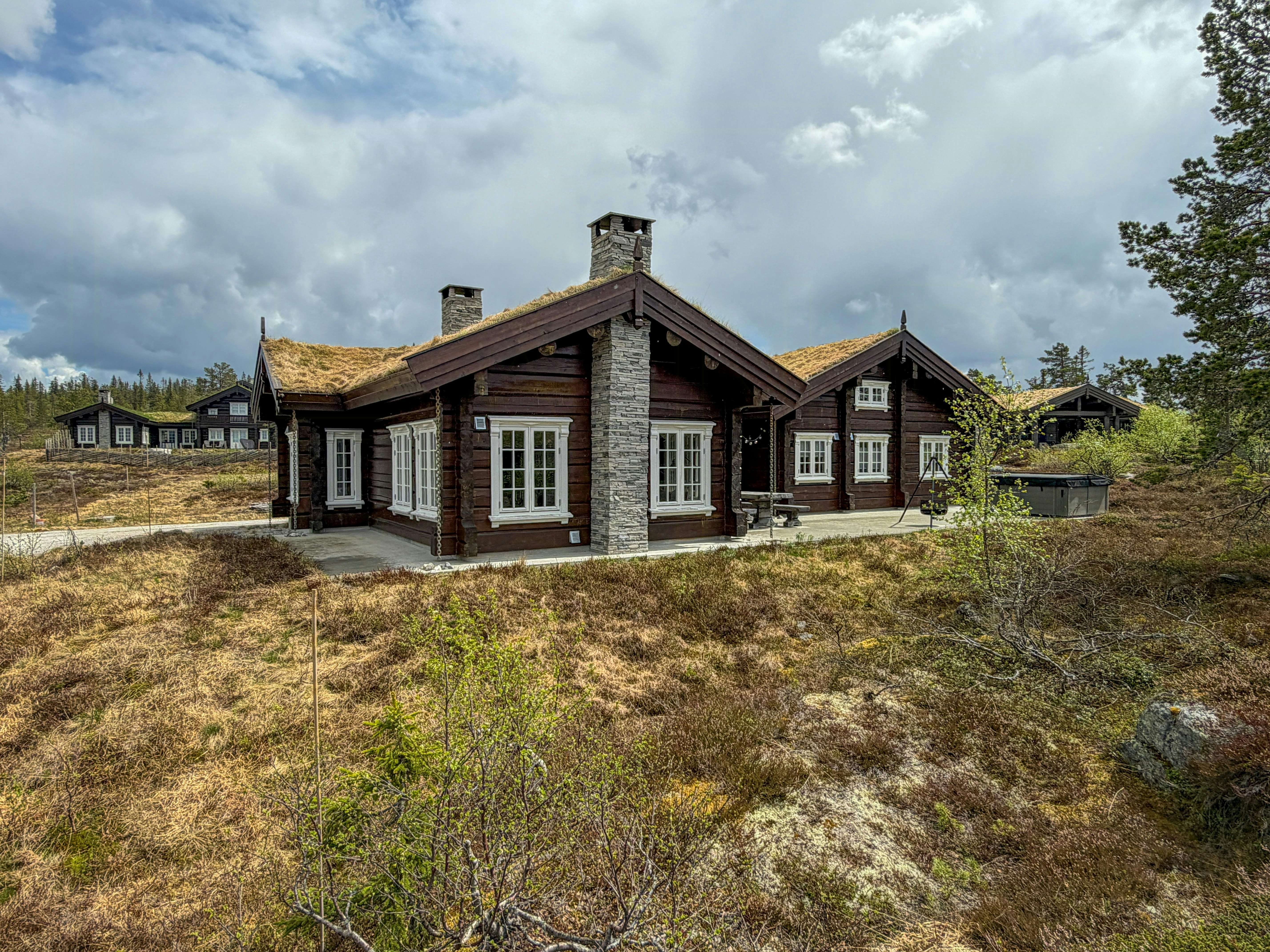 Vegglifjell cover image