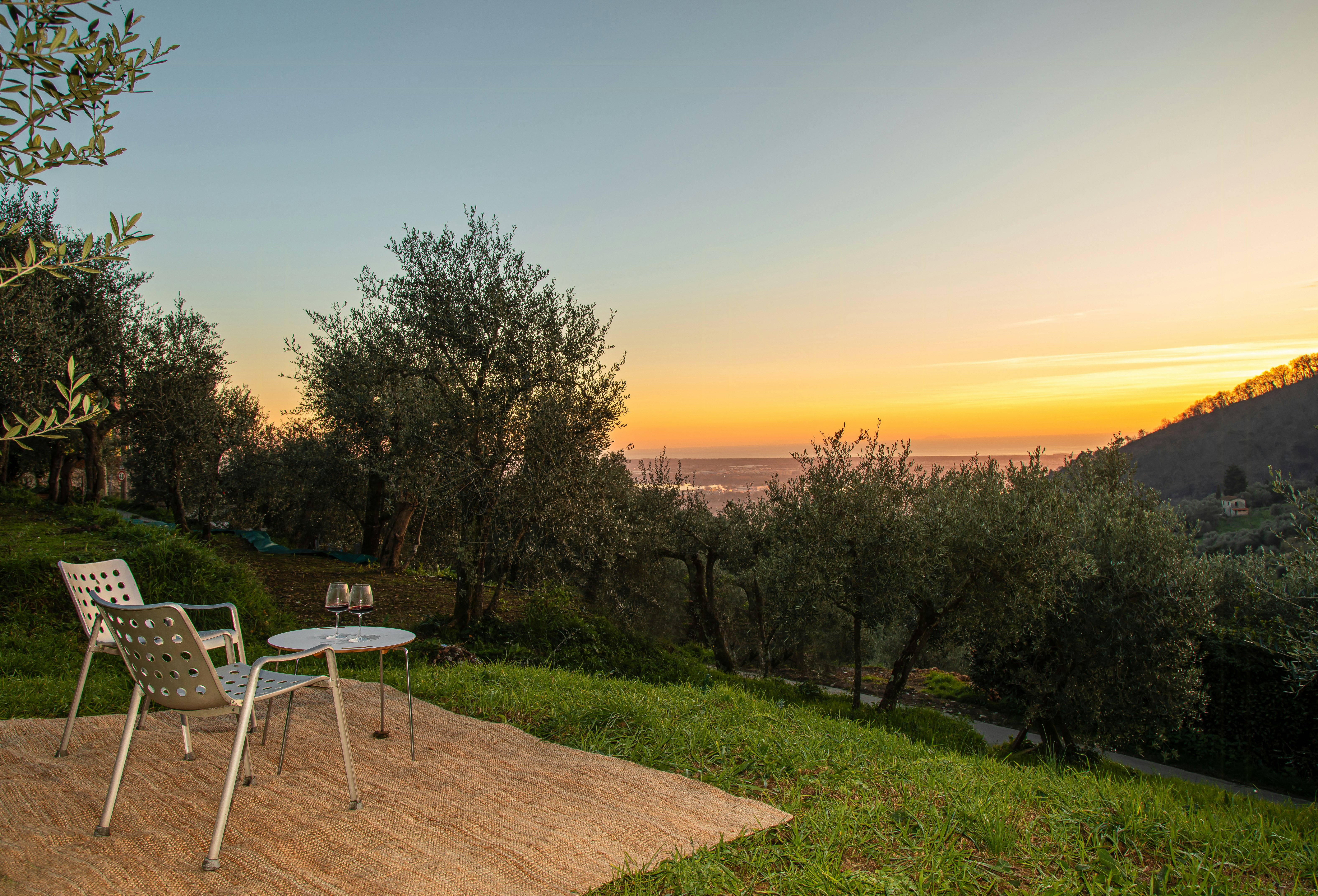 Campi Bisenzio cover image