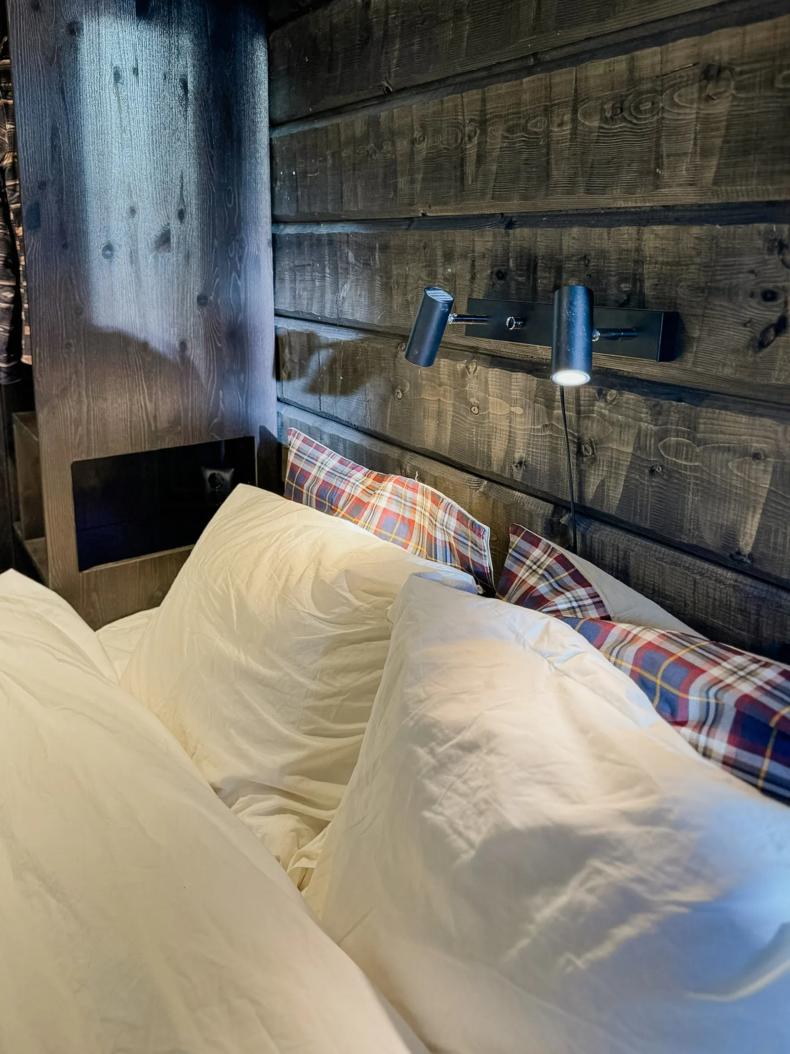 Modern ski lodge med bastu vid Åresjön – bild 21 av 24