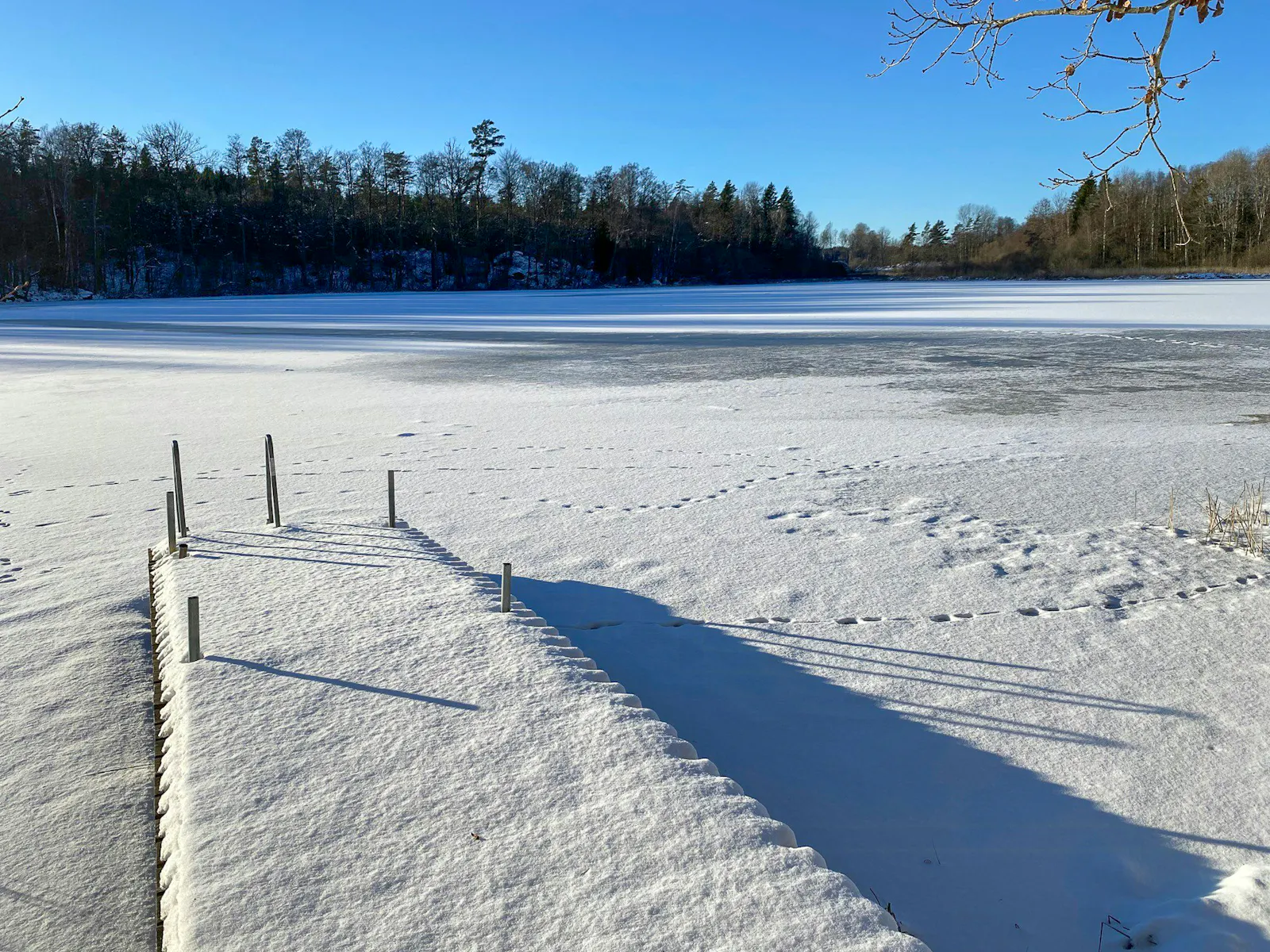 Skogsstuga med gömd sjö nära Karlshamn – bild 17 av 17