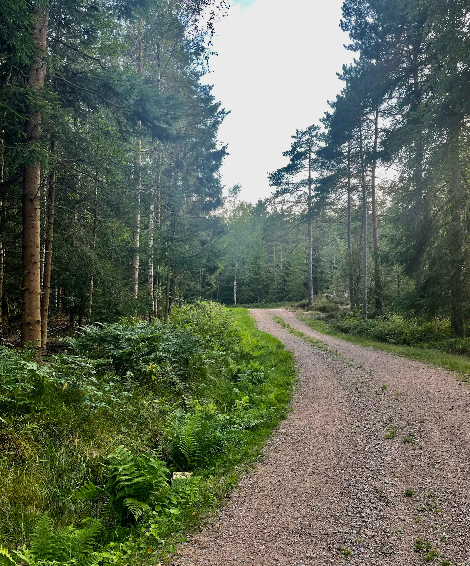 Skogsstuga nära havet på Orust – bild 4 av 24