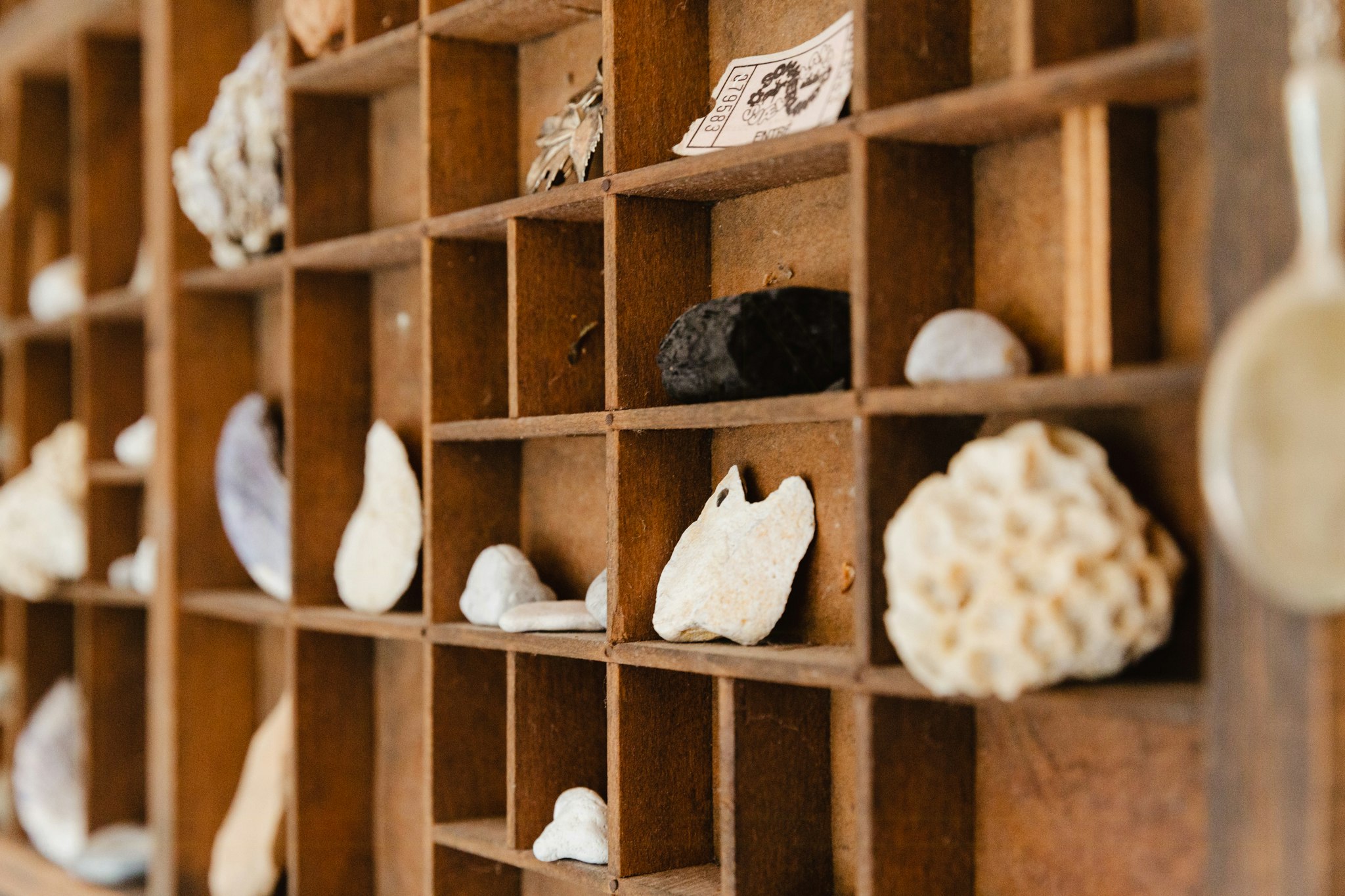 Efterårsferie i Nordsjælland: 6 events i efterårslandet, du ikke må gå glip af