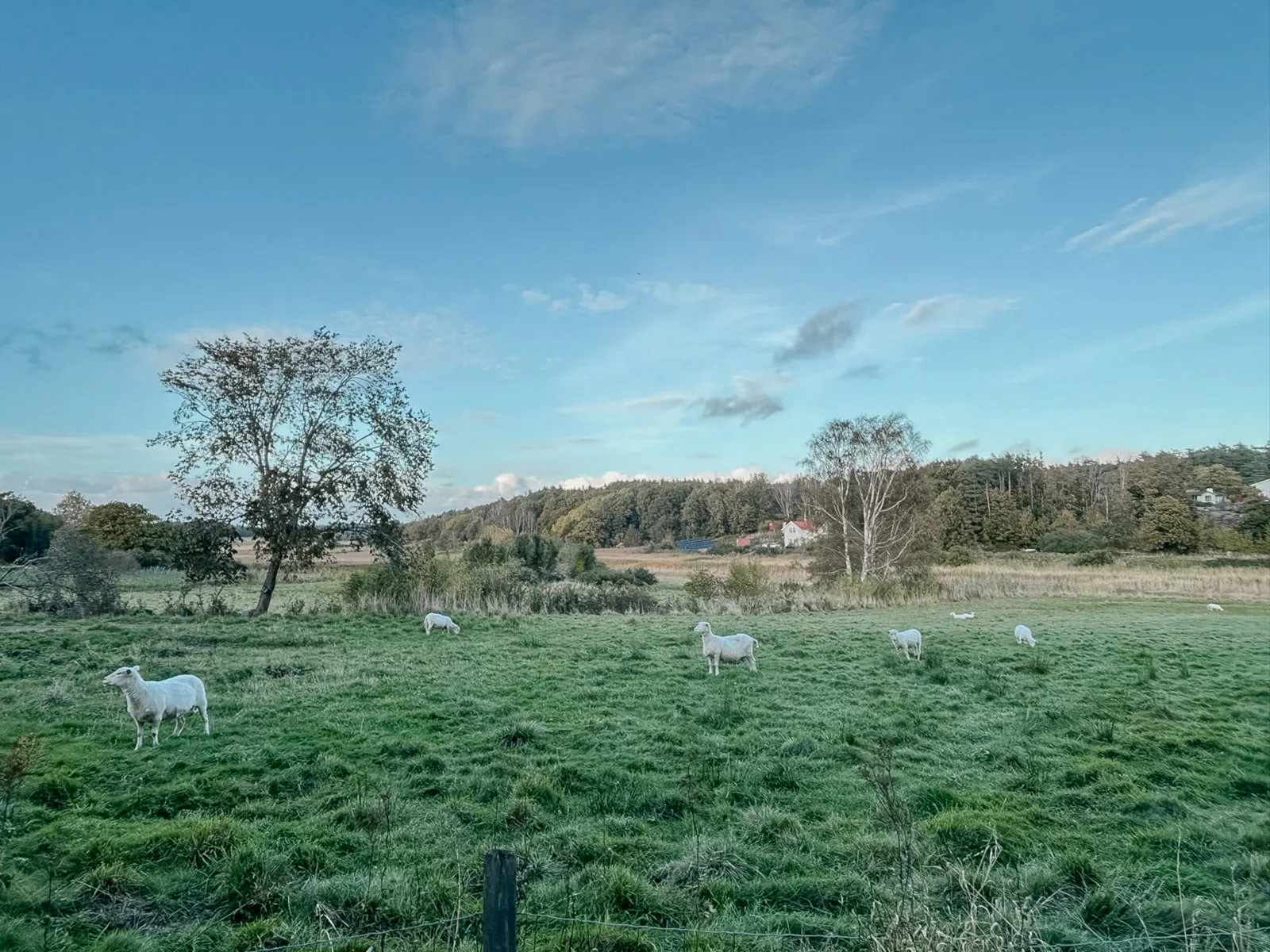 Minihus mellan åkrar och hav på Vässingsö – bild 2 av 24