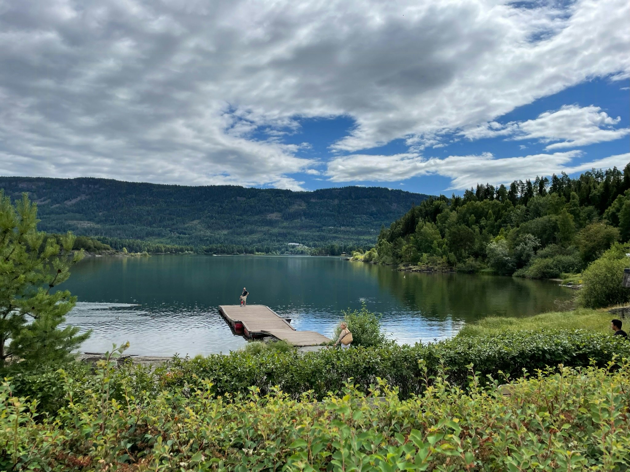 Sommereventyr i de norske fjelde: Østlandets bedste vandre- og naturoplevelser