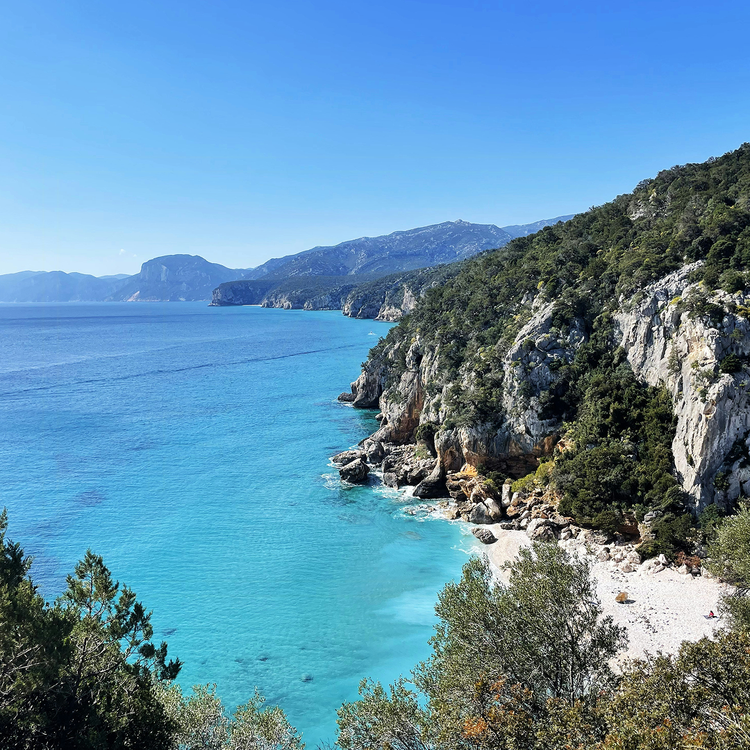 azure-blue dips cover image