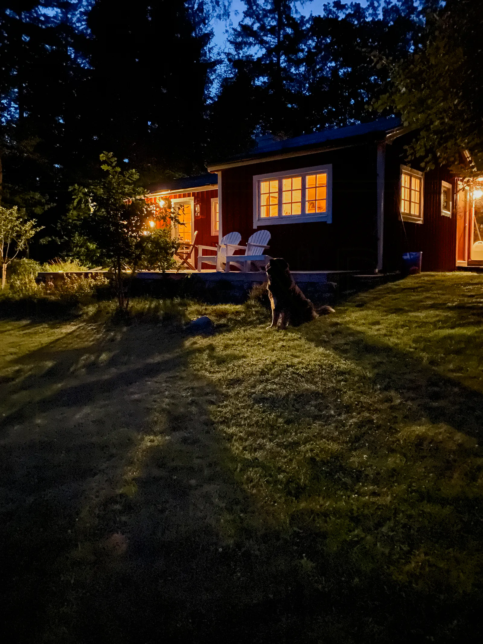 Lugnt boende nära naturen i Skåne – bild 16 av 17