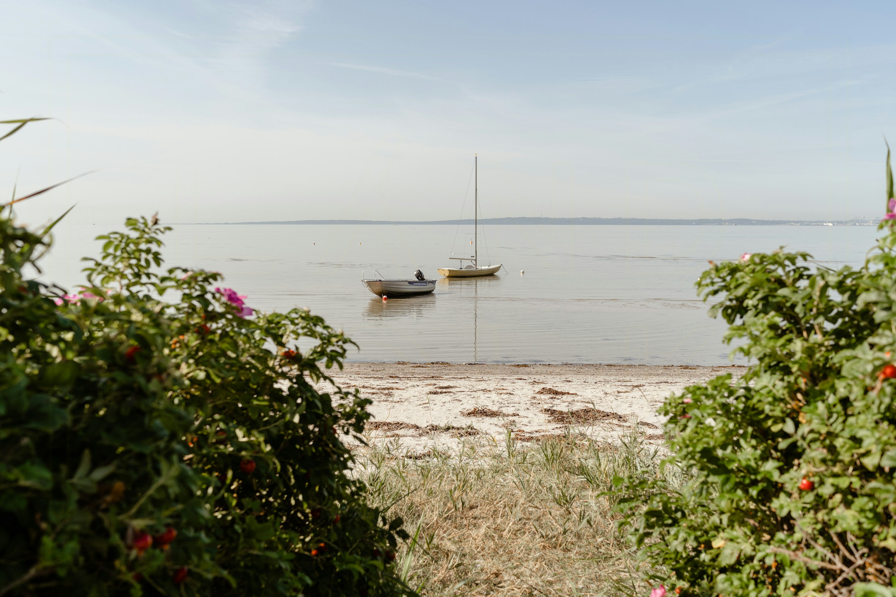 Dänische Südsee cover image