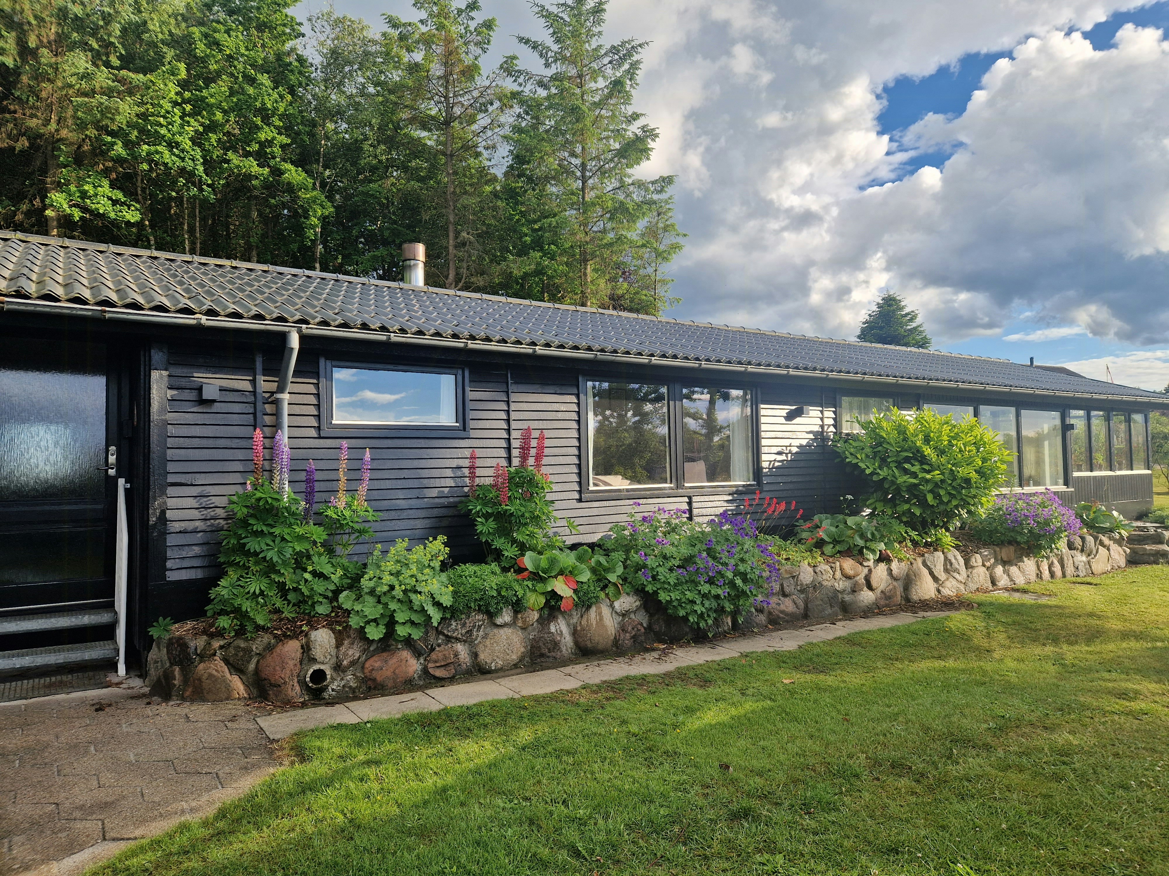 Skovgårde cover image