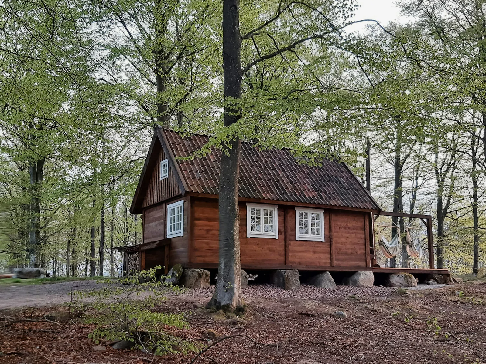 Stuga av skogens virke nära Örkelljunga – bild 17 av 21