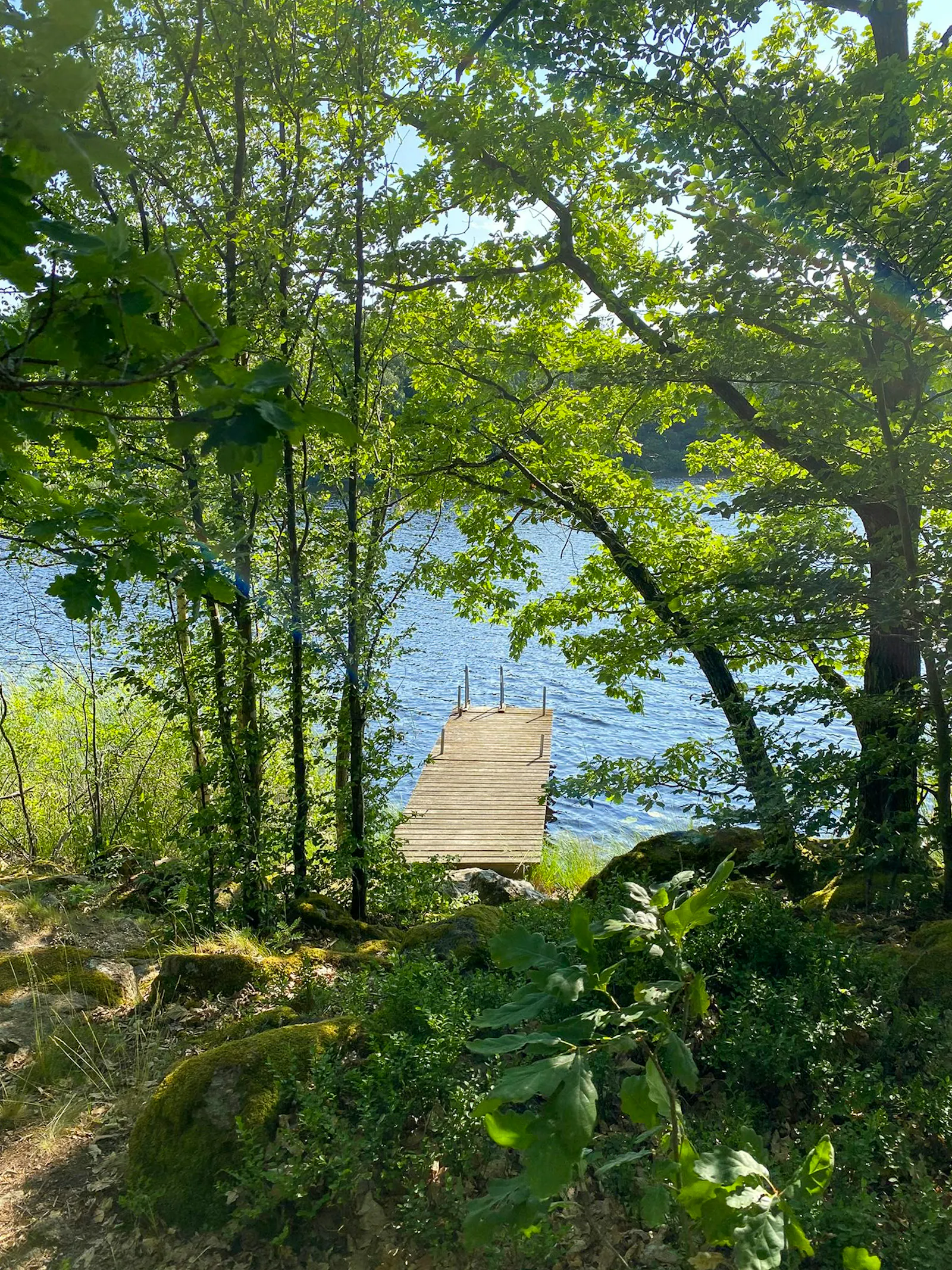 Skogsstuga med gömd sjö nära Karlshamn – bild 16 av 17